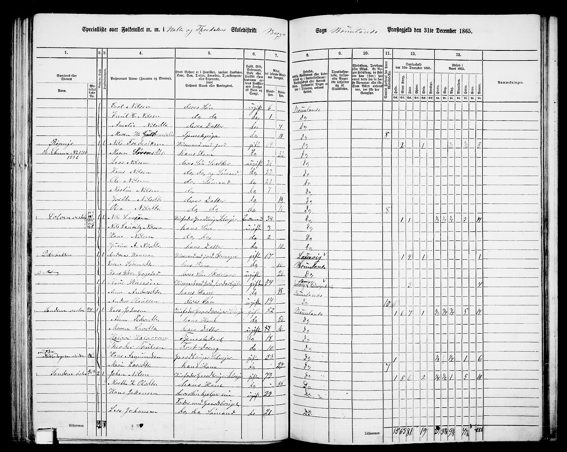 RA, 1865 census for Brunlanes, 1865, p. 109