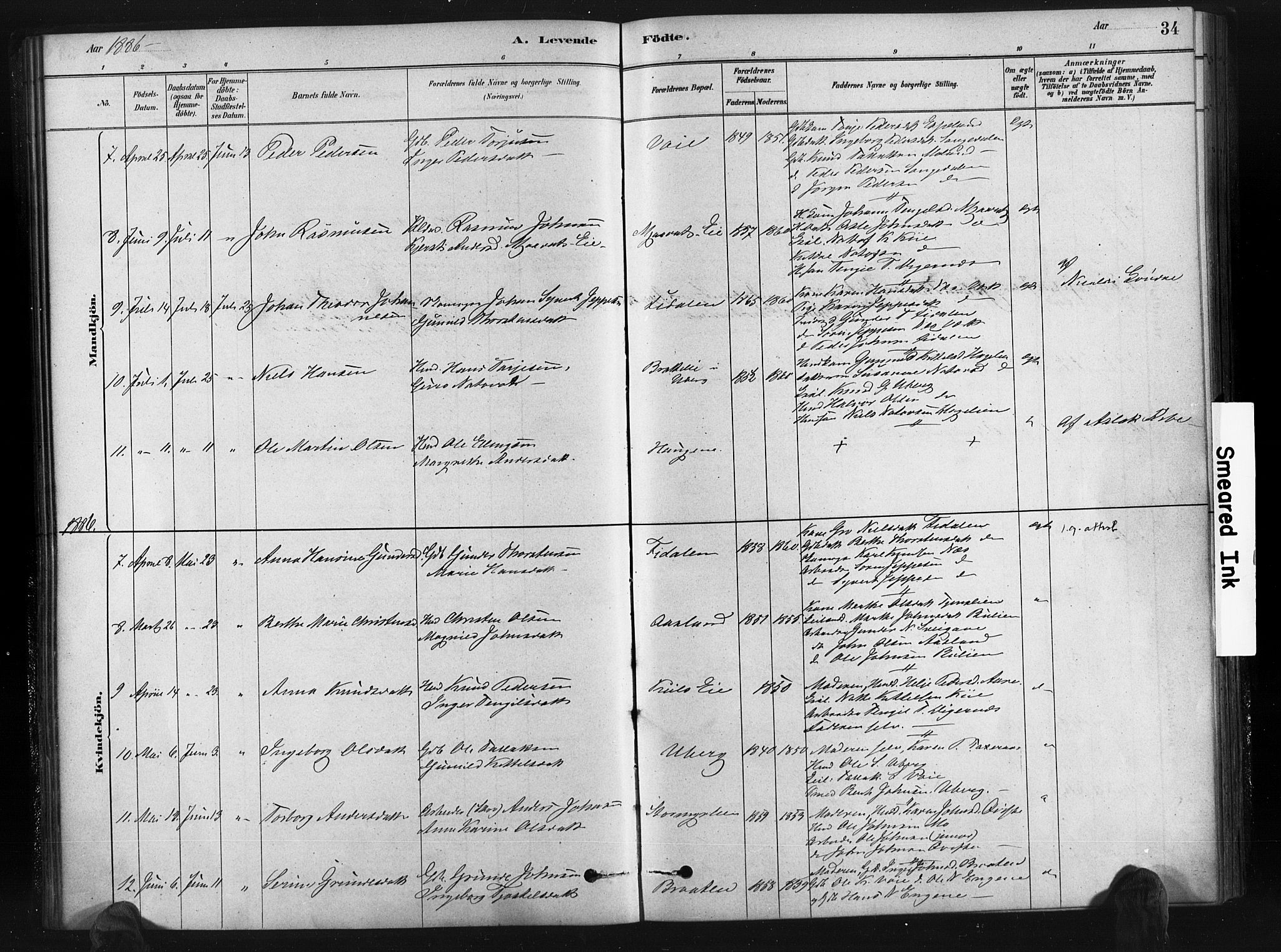 Gjerstad sokneprestkontor, AV/SAK-1111-0014/F/Fa/Fab/L0004: Parish register (official) no. A 4, 1879-1890, p. 34