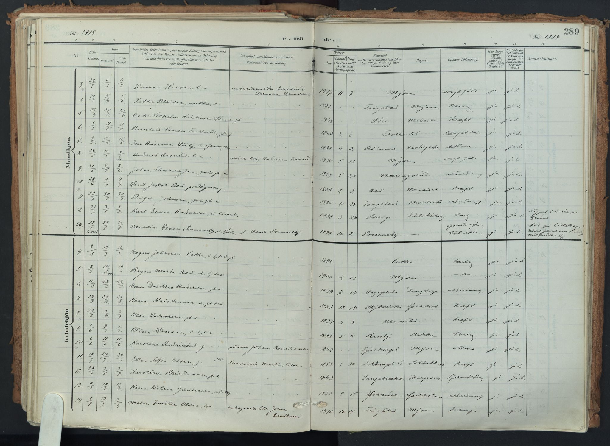 Eidsberg prestekontor Kirkebøker, AV/SAO-A-10905/F/Fa/L0014: Parish register (official) no. I 14, 1902-1919, p. 289