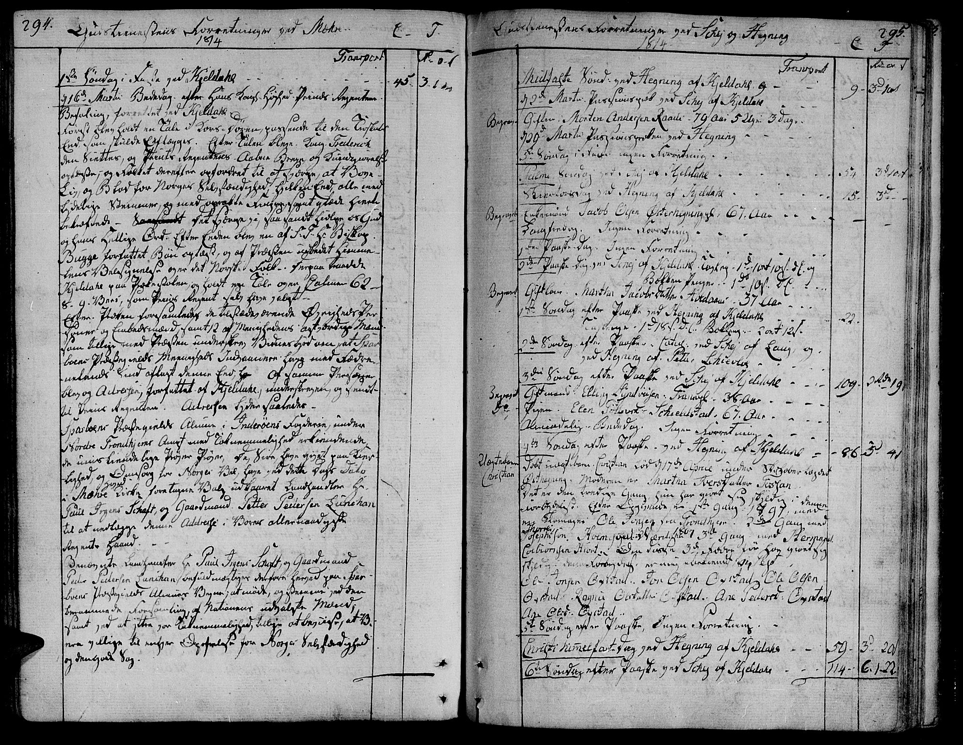 Ministerialprotokoller, klokkerbøker og fødselsregistre - Nord-Trøndelag, SAT/A-1458/735/L0332: Parish register (official) no. 735A03, 1795-1816, p. 294-295