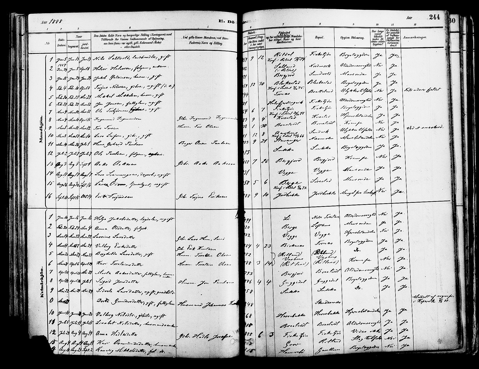 Suldal sokneprestkontor, AV/SAST-A-101845/01/IV/L0011: Parish register (official) no. A 11, 1878-1900, p. 244