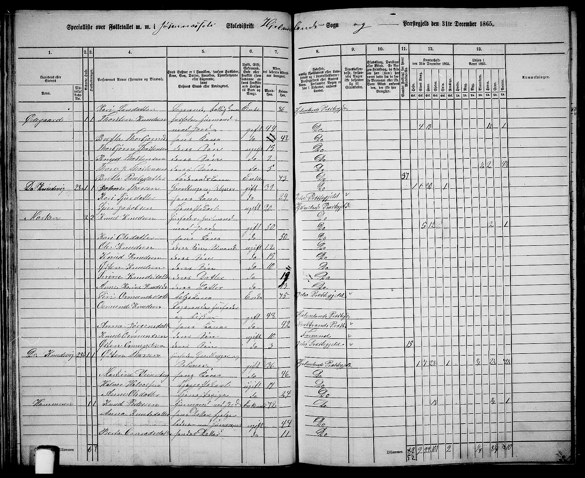 RA, 1865 census for Hjelmeland, 1865, p. 35