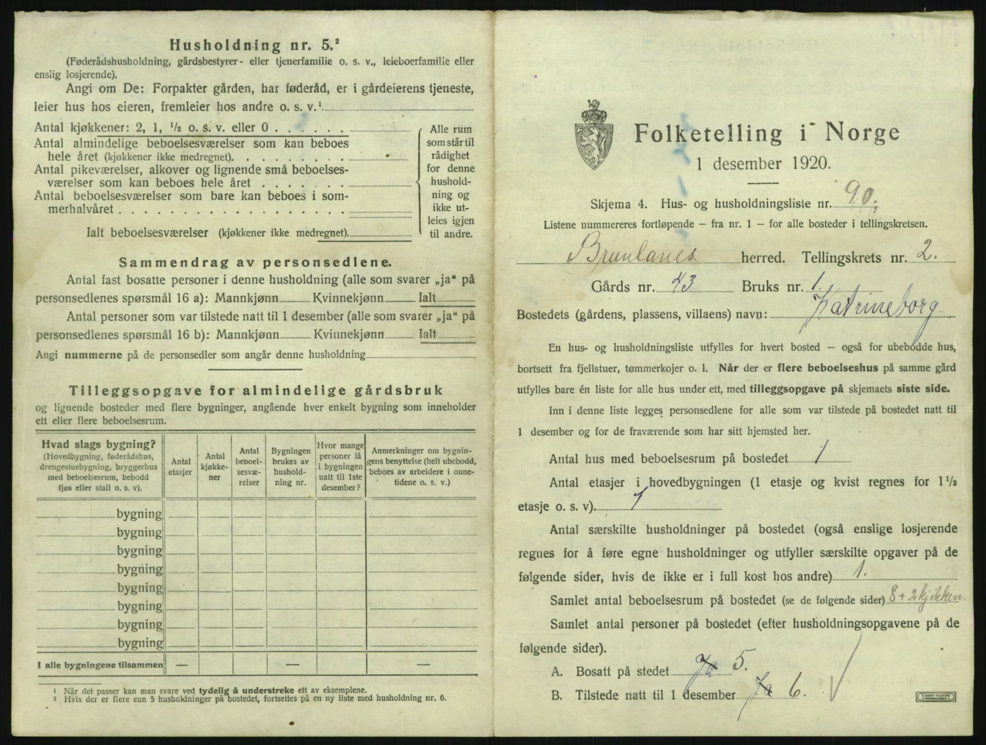 SAKO, 1920 census for Brunlanes, 1920, p. 491