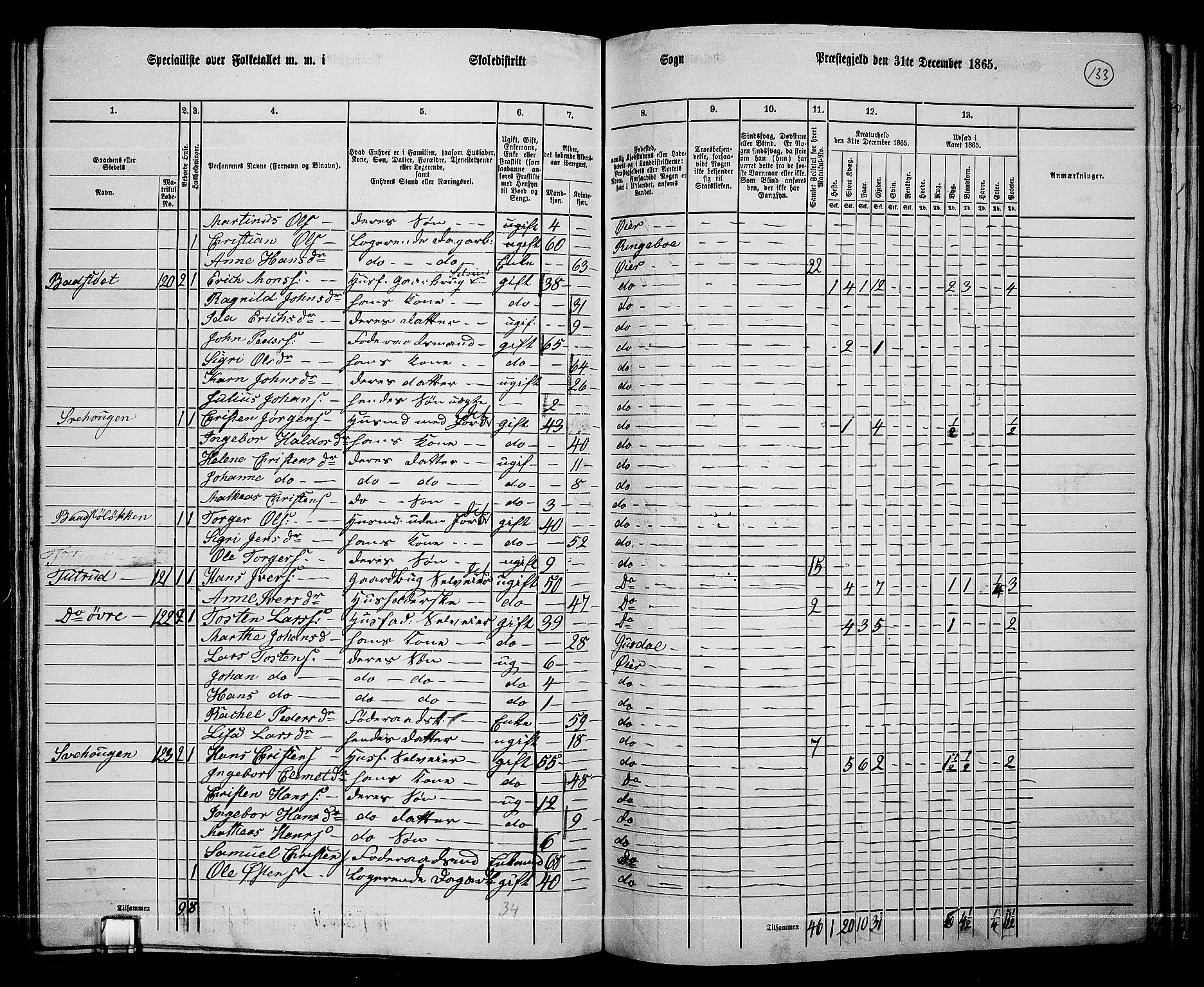 RA, 1865 census for Øyer, 1865, p. 119