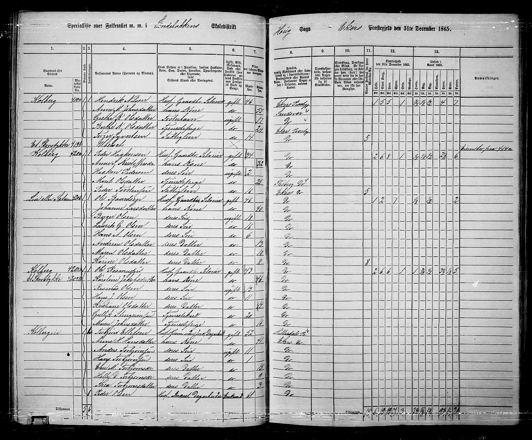 RA, 1865 census for Eiker, 1865, p. 98