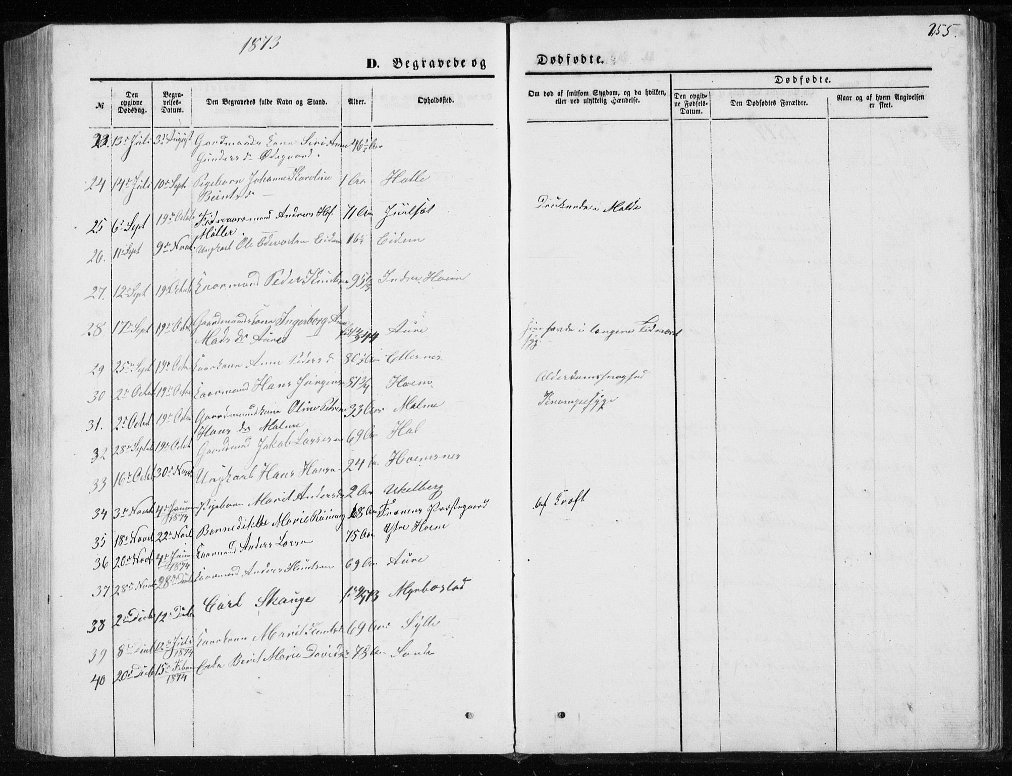 Ministerialprotokoller, klokkerbøker og fødselsregistre - Møre og Romsdal, SAT/A-1454/565/L0754: Parish register (copy) no. 565C03, 1870-1896, p. 255