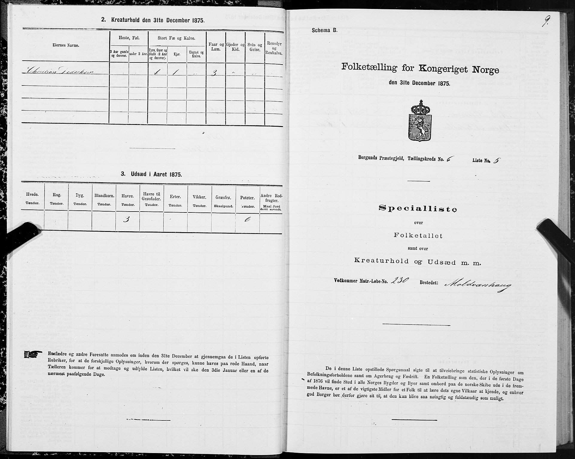 SAT, 1875 census for 1531P Borgund, 1875, p. 4009