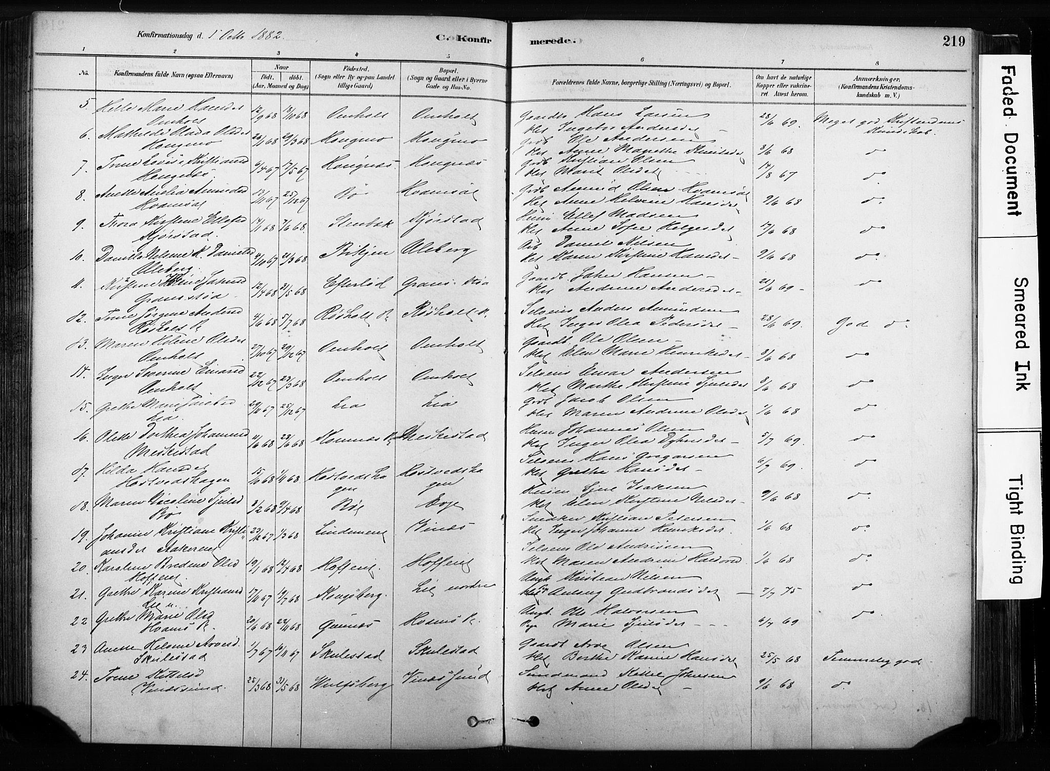 Sandsvær kirkebøker, SAKO/A-244/F/Fb/L0001: Parish register (official) no. II 1, 1878-1906, p. 219