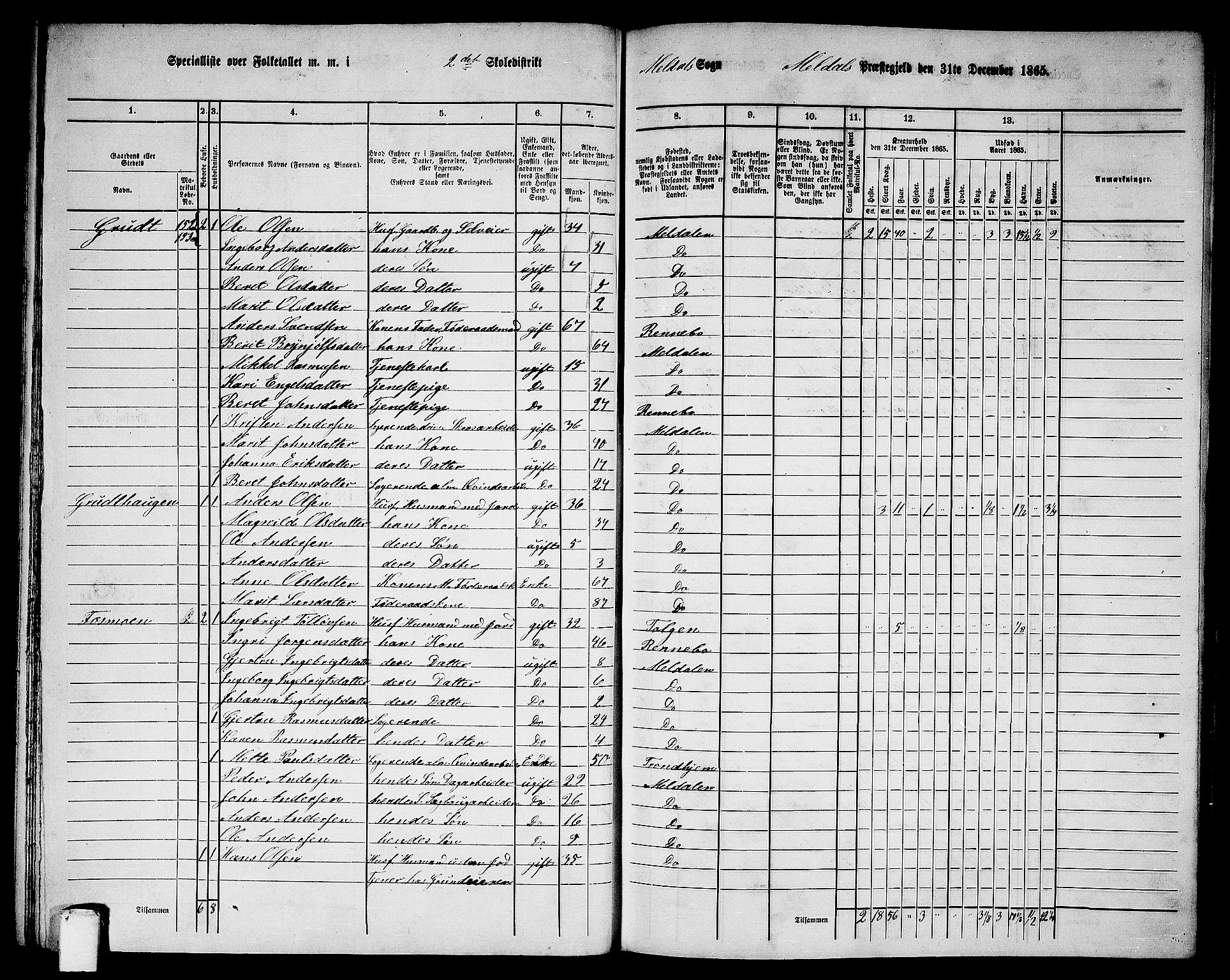 RA, 1865 census for Meldal, 1865, p. 50