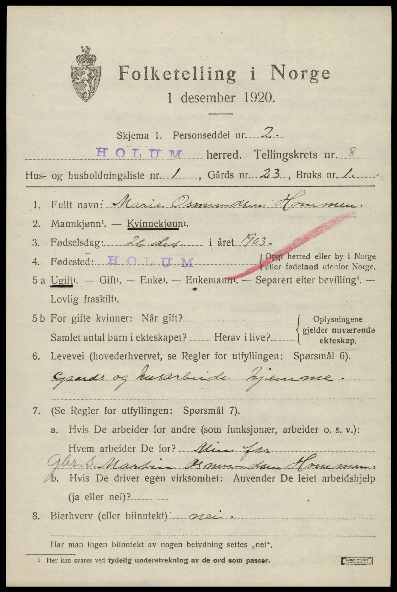 SAK, 1920 census for Holum, 1920, p. 2519