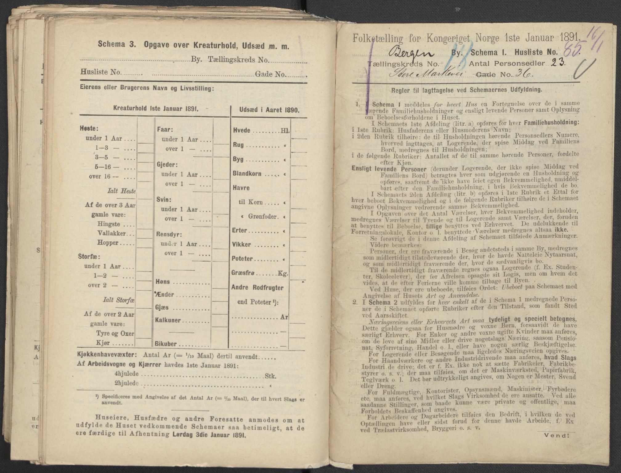 RA, 1891 Census for 1301 Bergen, 1891, p. 2944