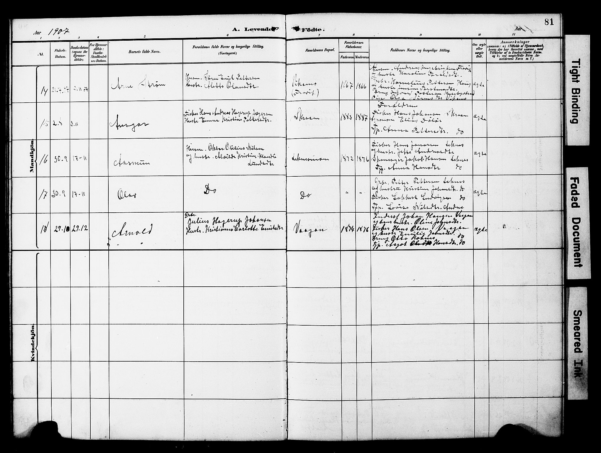 Ministerialprotokoller, klokkerbøker og fødselsregistre - Nord-Trøndelag, SAT/A-1458/788/L0701: Parish register (copy) no. 788C01, 1888-1913, p. 81