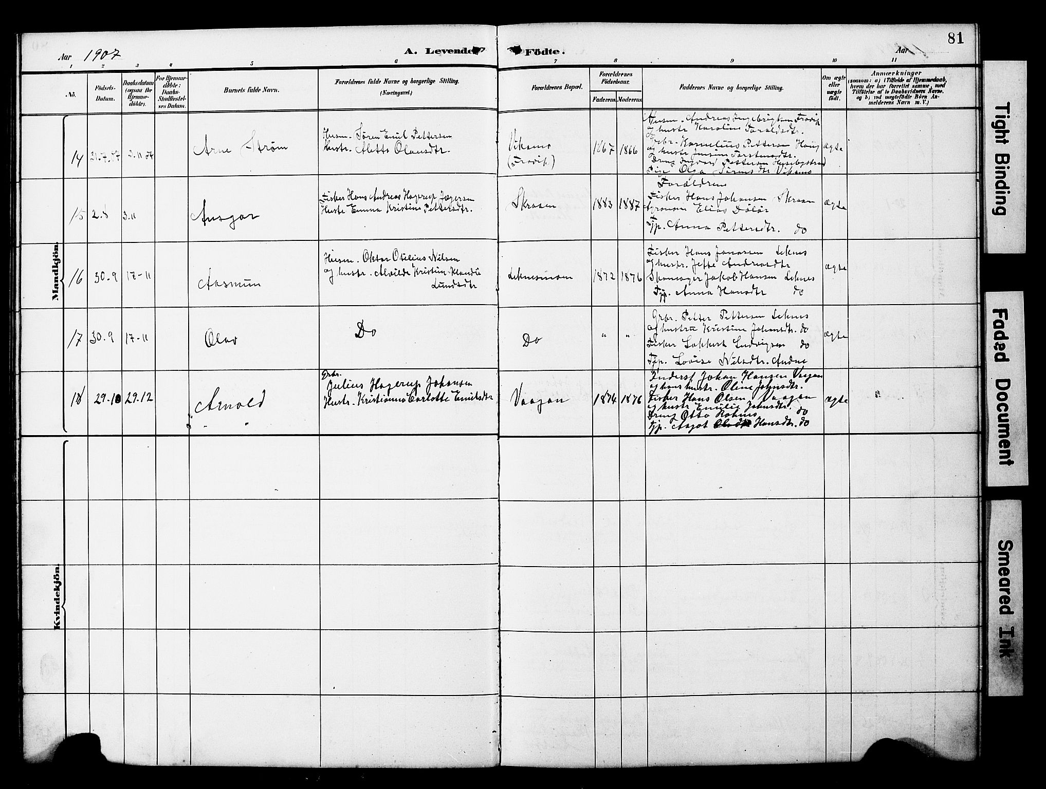 Ministerialprotokoller, klokkerbøker og fødselsregistre - Nord-Trøndelag, AV/SAT-A-1458/788/L0701: Parish register (copy) no. 788C01, 1888-1913, p. 81