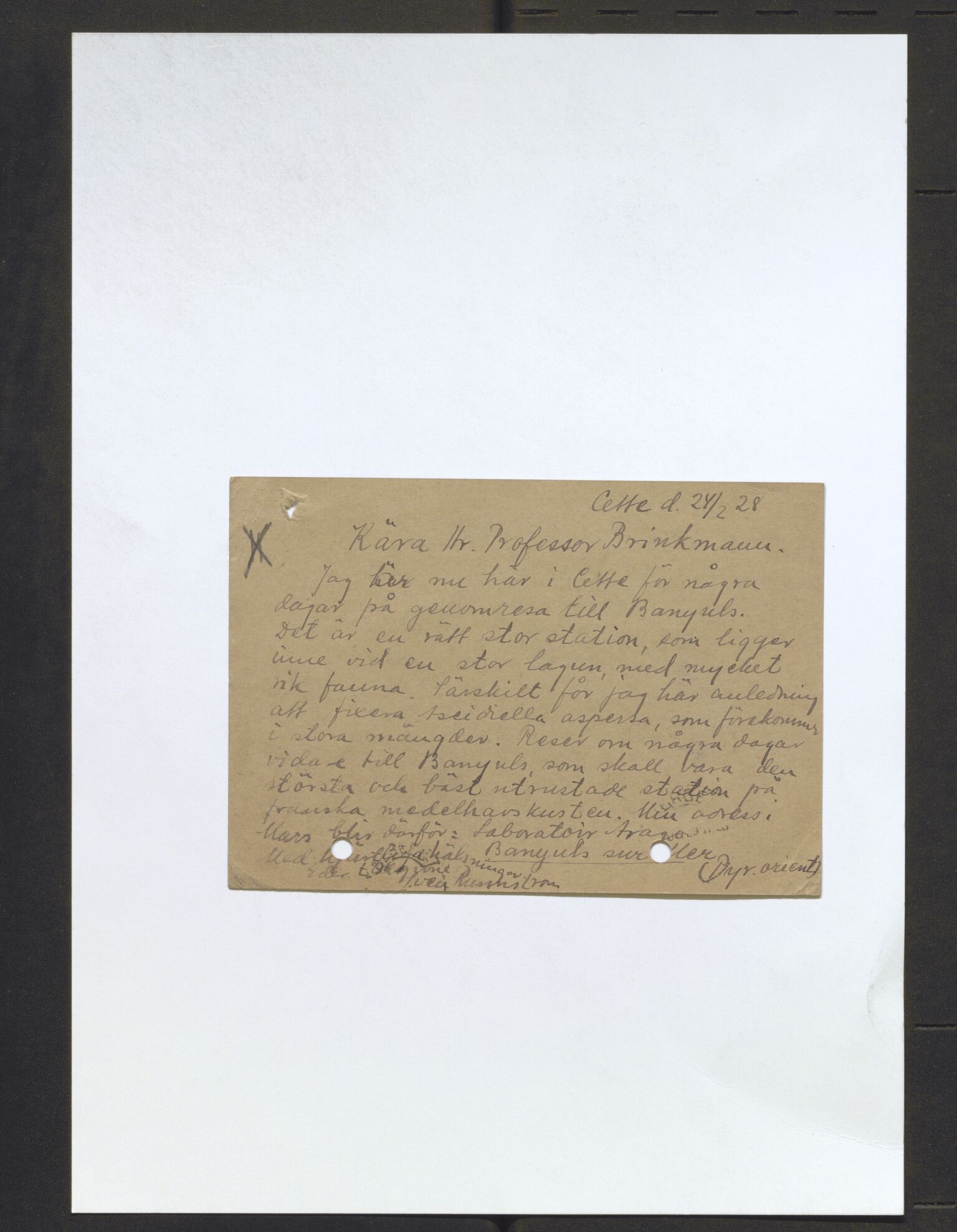 Bergens Museum, AV/SAB-A-17301/13/D/L0002: Korrespondanse , 1928-1940, p. 221