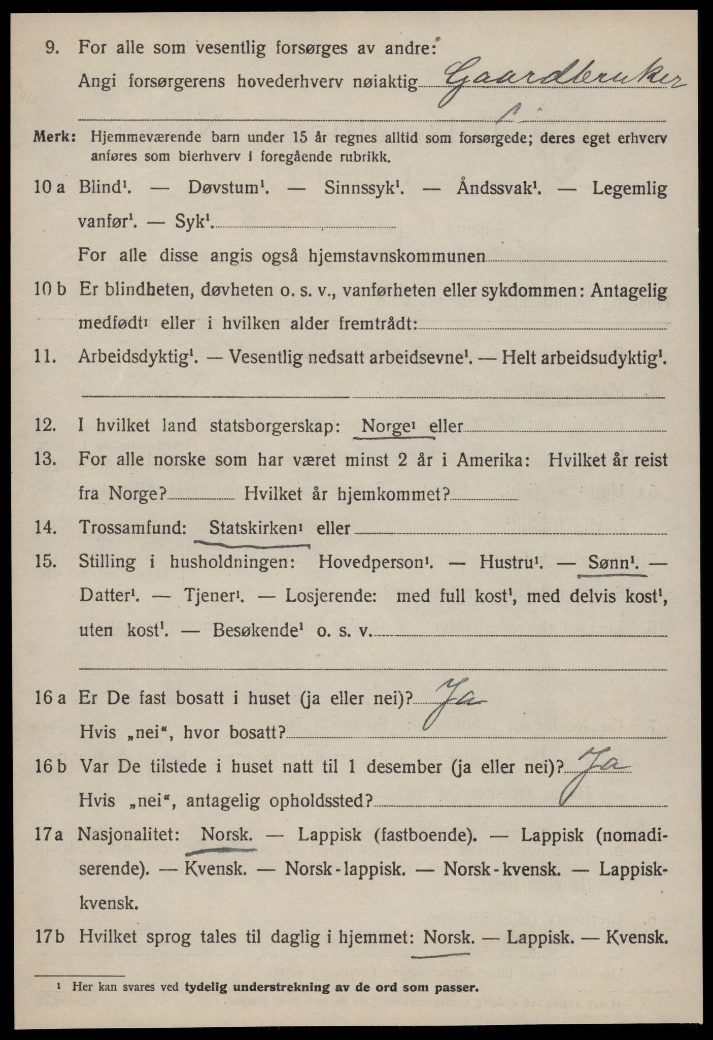 SAT, 1920 census for Soknedal, 1920, p. 3975