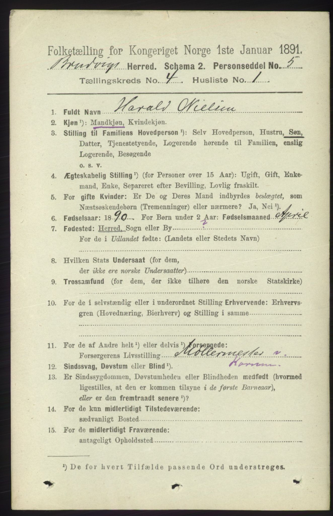 RA, 1891 census for 1251 Bruvik, 1891, p. 1006