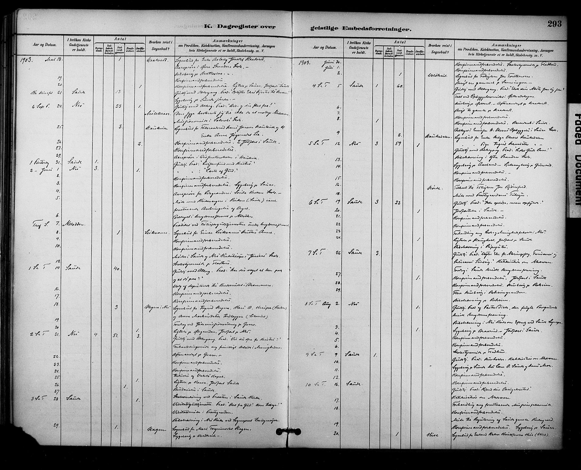 Sauherad kirkebøker, AV/SAKO-A-298/F/Fa/L0009: Parish register (official) no. I 9, 1887-1912, p. 293