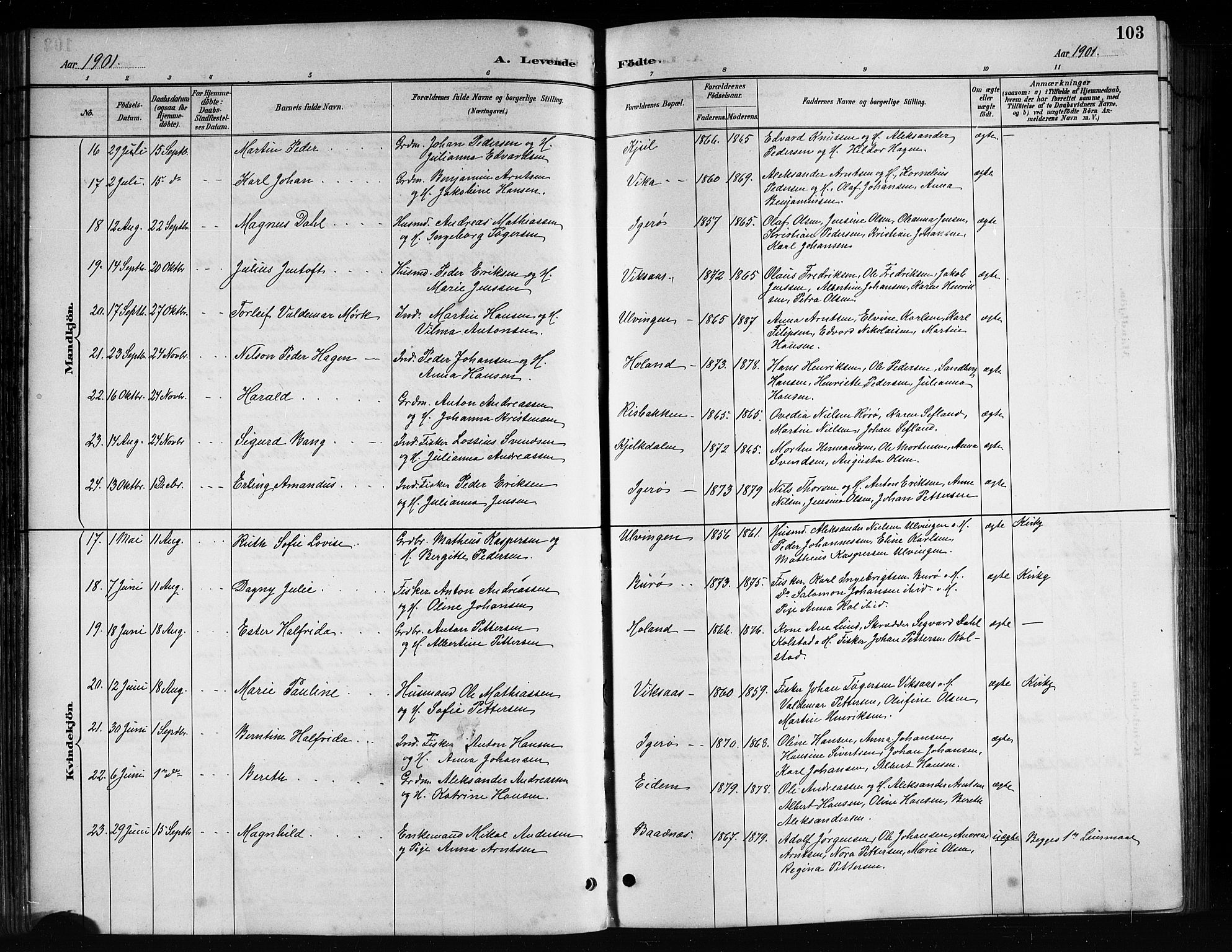 Ministerialprotokoller, klokkerbøker og fødselsregistre - Nordland, AV/SAT-A-1459/816/L0253: Parish register (copy) no. 816C03, 1886-1905, p. 103