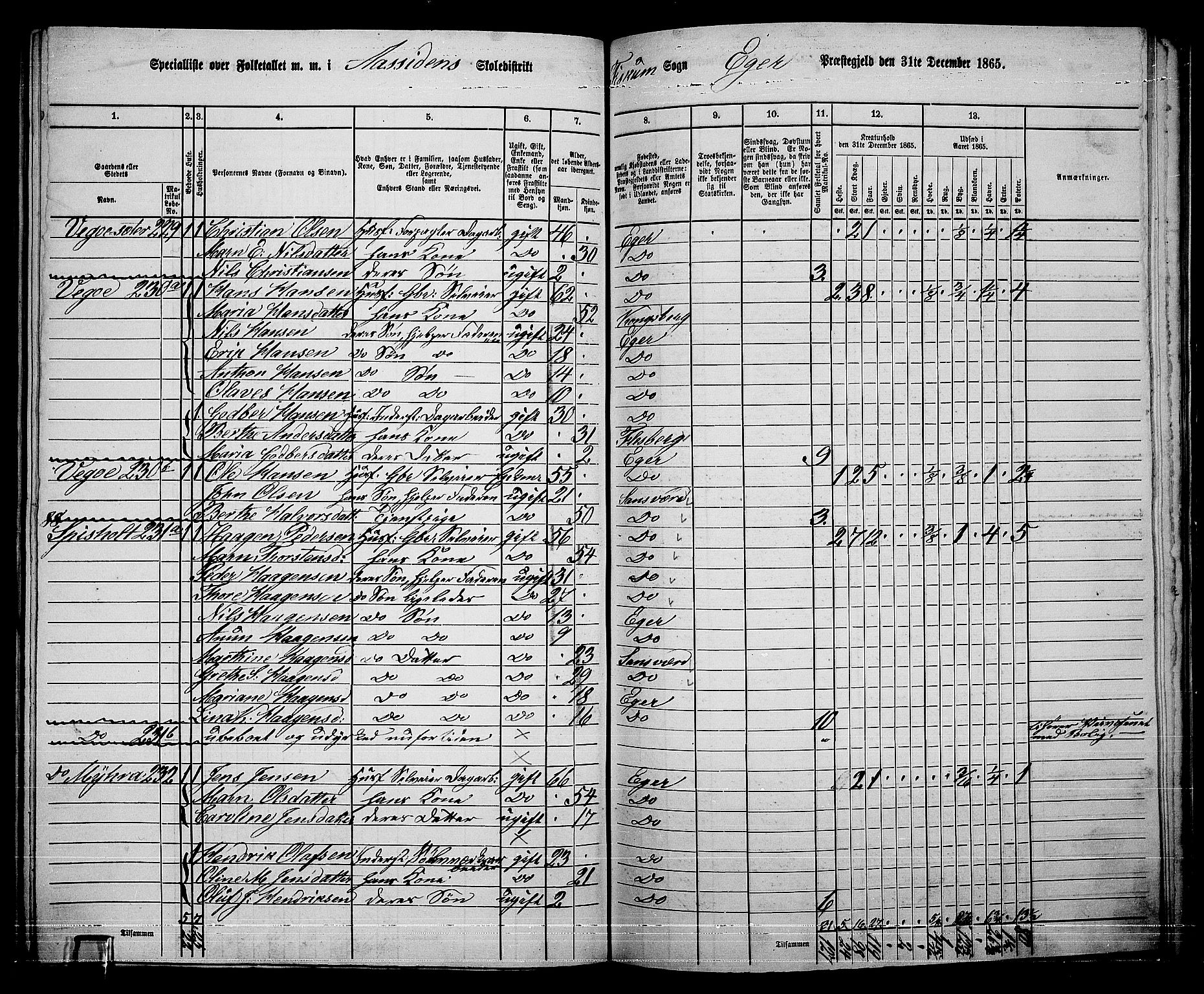 RA, 1865 census for Eiker, 1865, p. 500