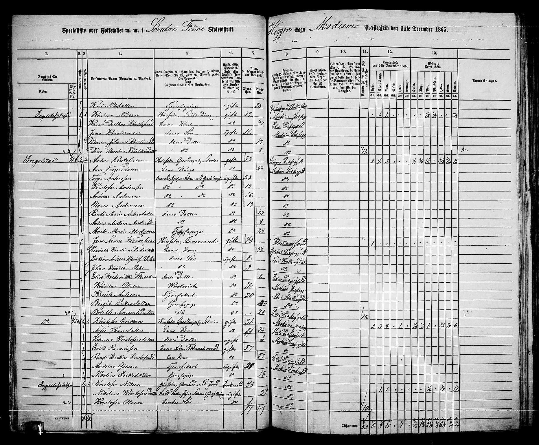 RA, 1865 census for Modum, 1865, p. 43