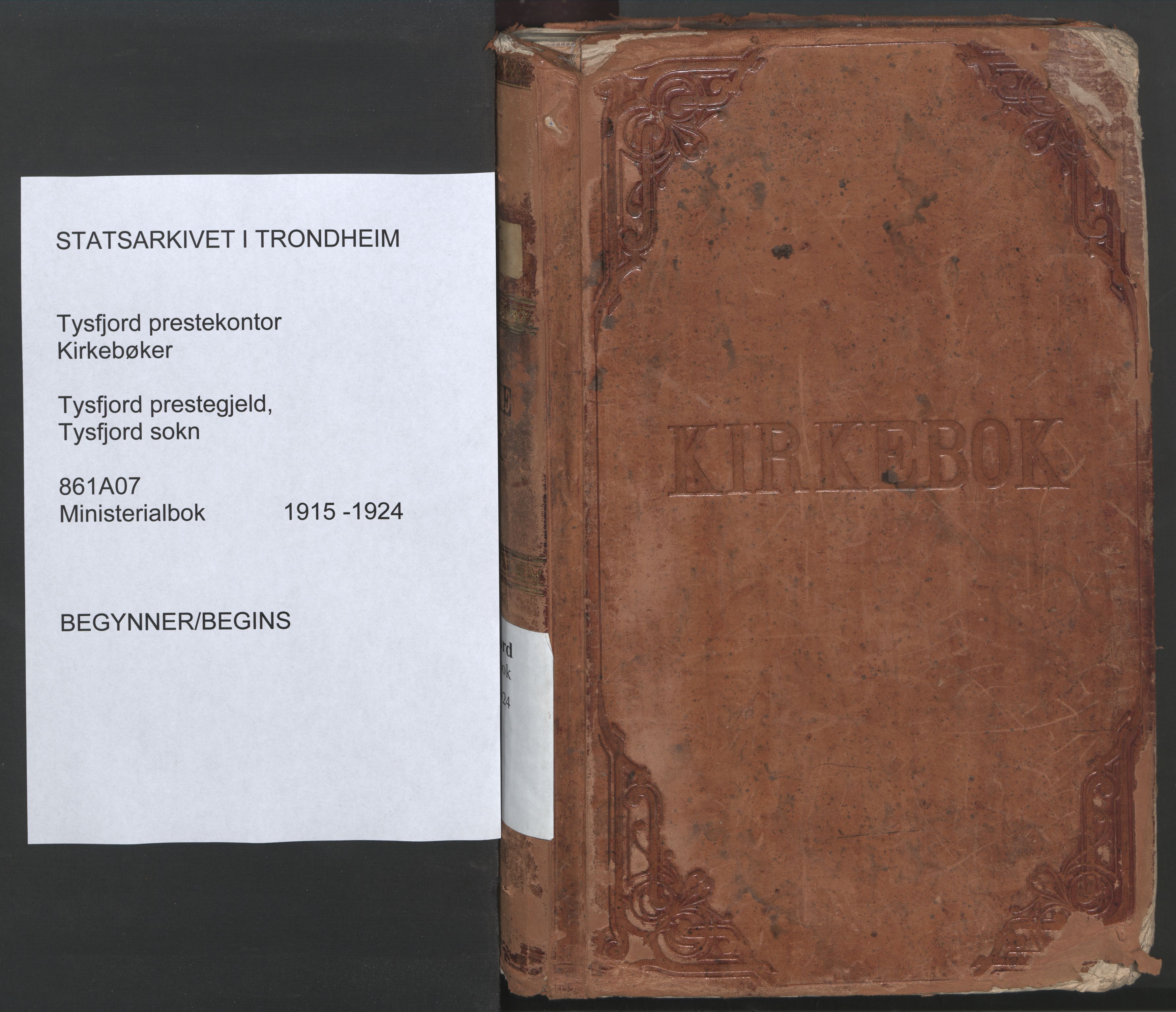 Ministerialprotokoller, klokkerbøker og fødselsregistre - Nordland, SAT/A-1459/861/L0872: Parish register (official) no. 861A07, 1915-1924