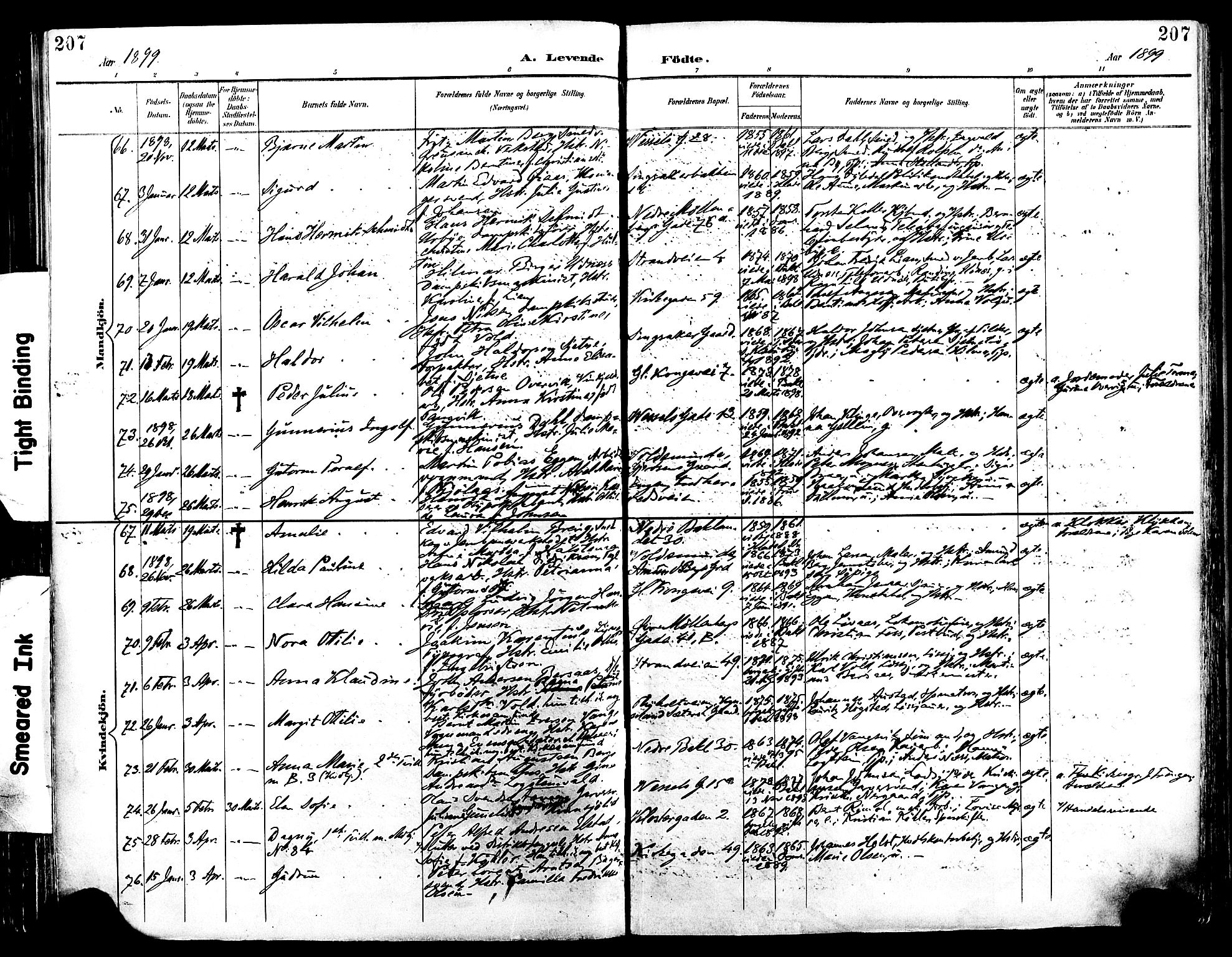 Ministerialprotokoller, klokkerbøker og fødselsregistre - Sør-Trøndelag, SAT/A-1456/604/L0197: Parish register (official) no. 604A18, 1893-1900, p. 207
