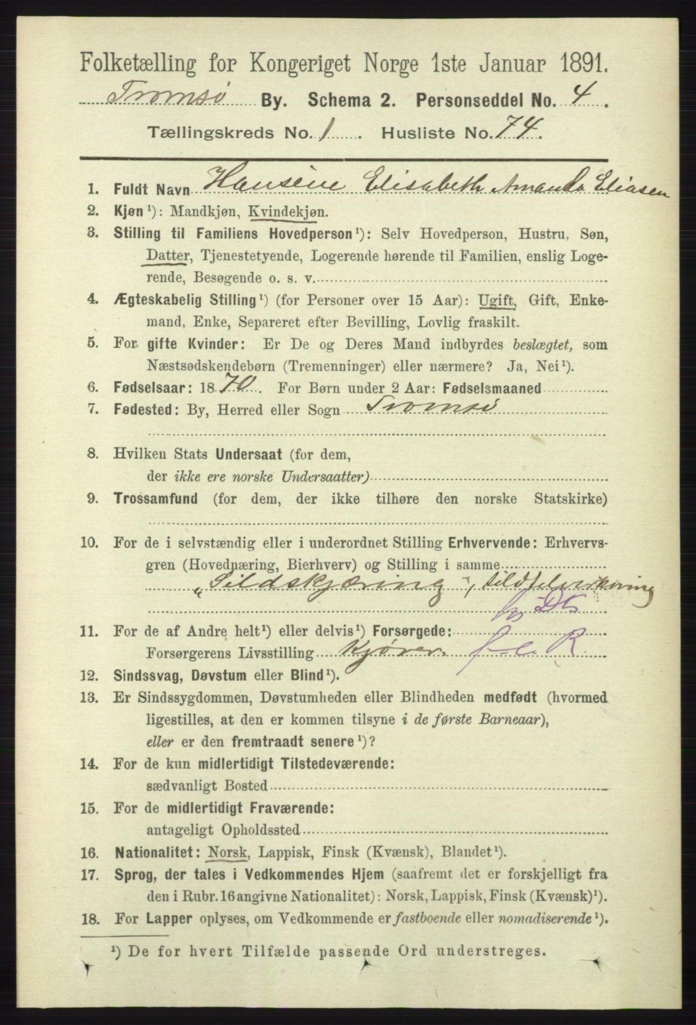 RA, 1891 census for 1902 Tromsø, 1891, p. 1036