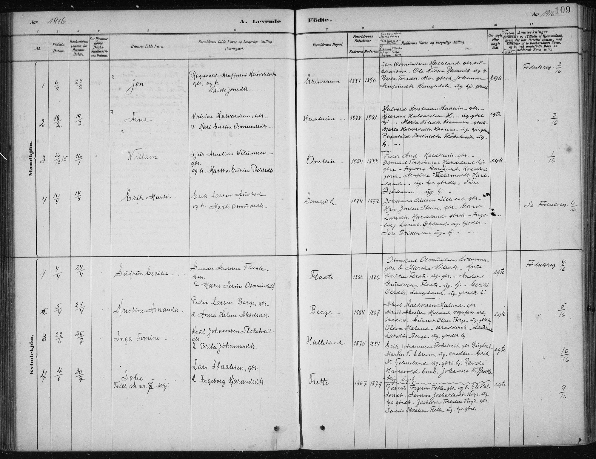 Etne sokneprestembete, SAB/A-75001/H/Haa: Parish register (official) no. D  1, 1879-1919, p. 109