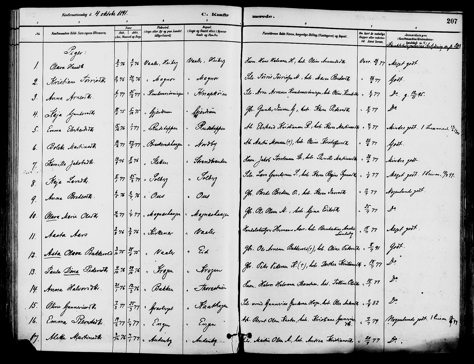 Våler prestekontor, Hedmark, AV/SAH-PREST-040/H/Ha/Haa/L0002: Parish register (official) no. 3, 1879-1911, p. 207