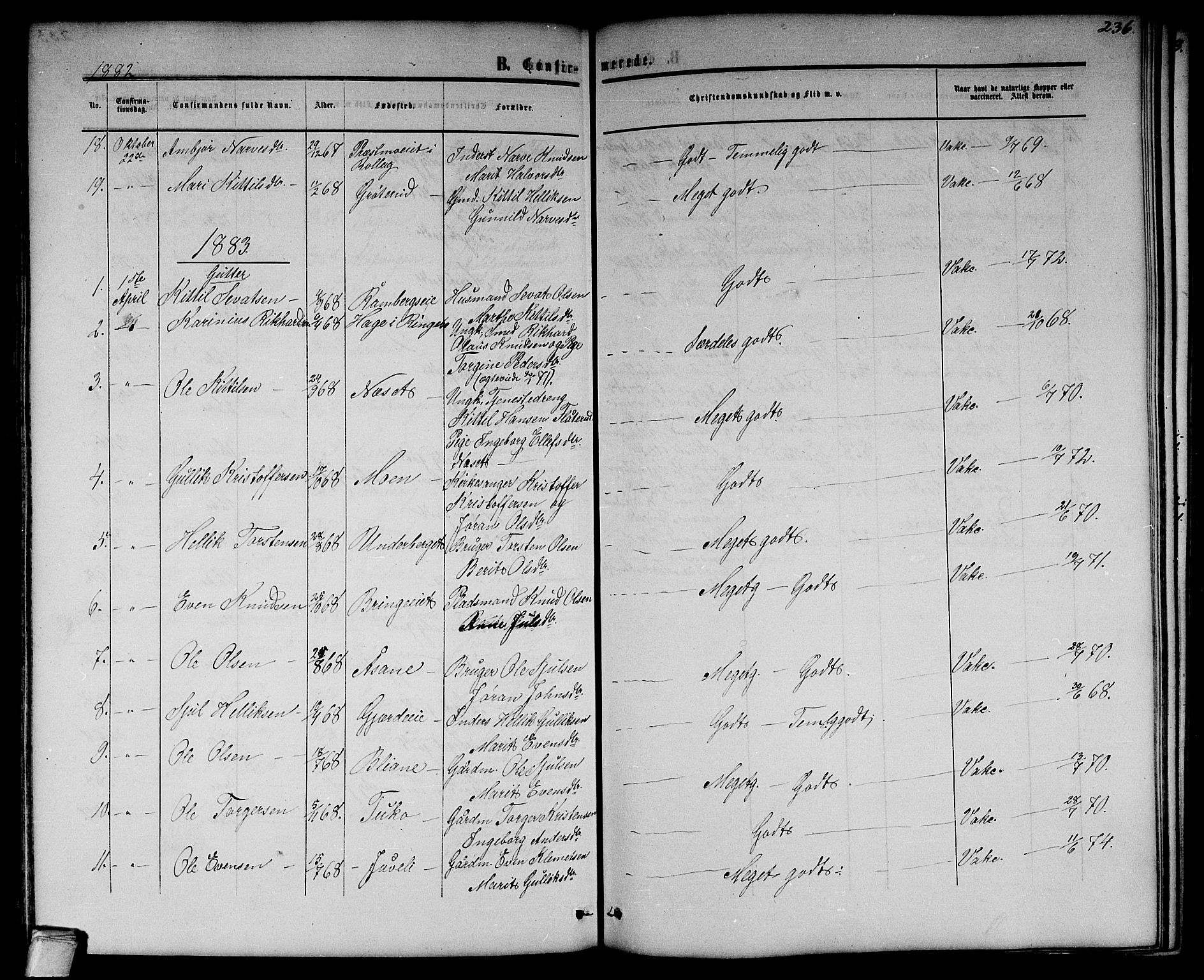 Flesberg kirkebøker, SAKO/A-18/G/Ga/L0003: Parish register (copy) no. I 3, 1861-1889, p. 236