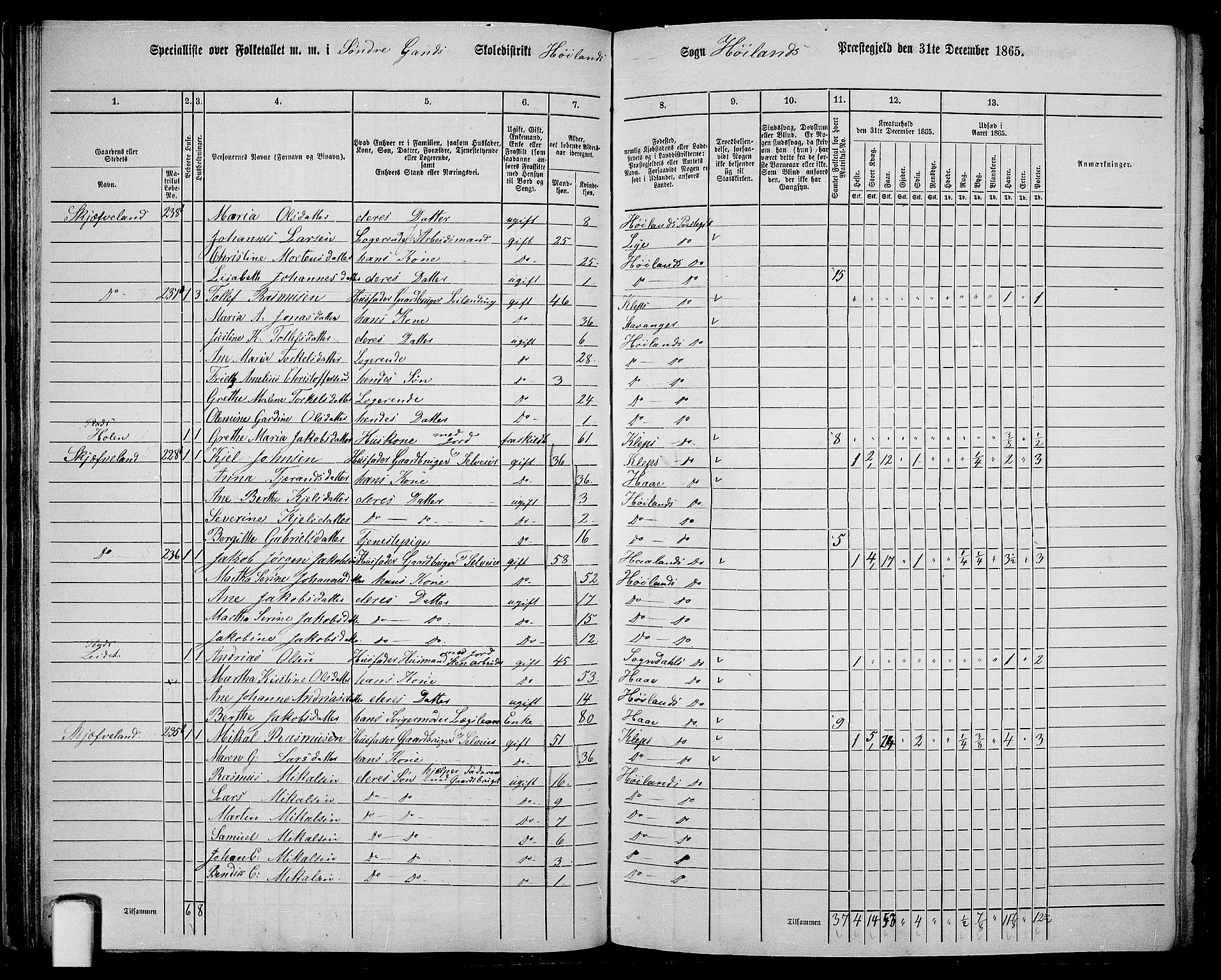 RA, 1865 census for Høyland, 1865, p. 50