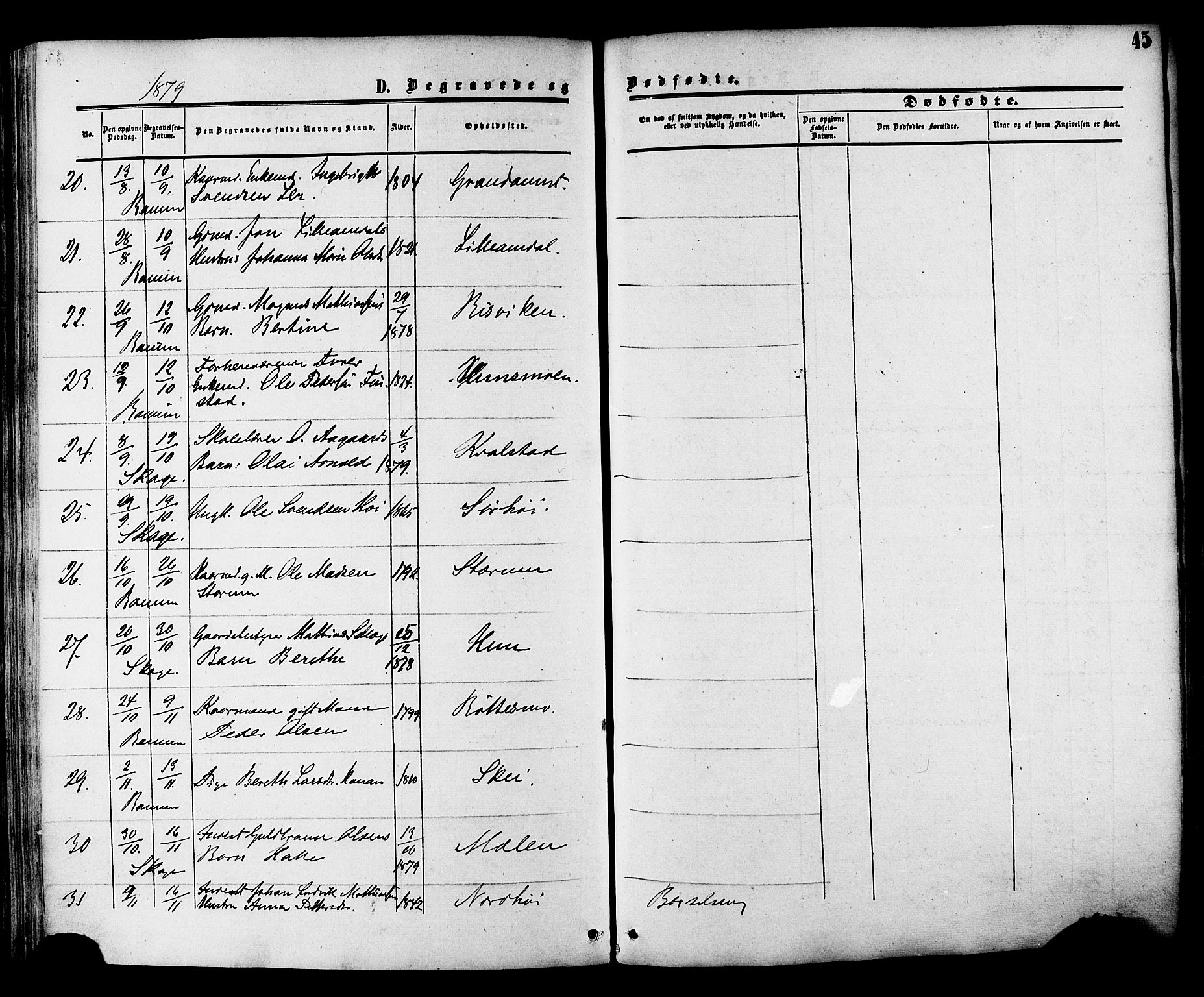 Ministerialprotokoller, klokkerbøker og fødselsregistre - Nord-Trøndelag, SAT/A-1458/764/L0553: Parish register (official) no. 764A08, 1858-1880, p. 45