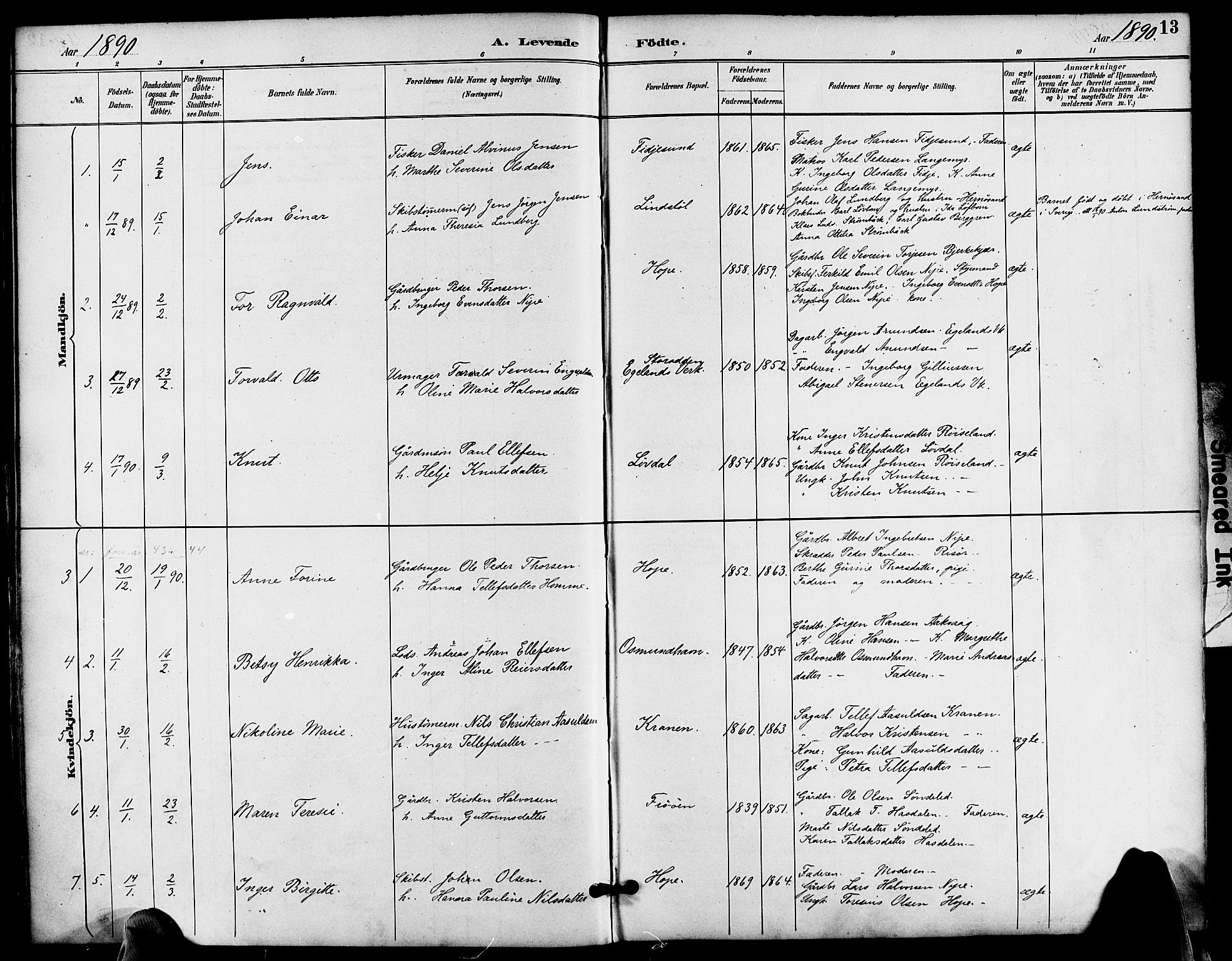 Søndeled sokneprestkontor, SAK/1111-0038/F/Fa/L0005: Parish register (official) no. A 5, 1889-1899, p. 13