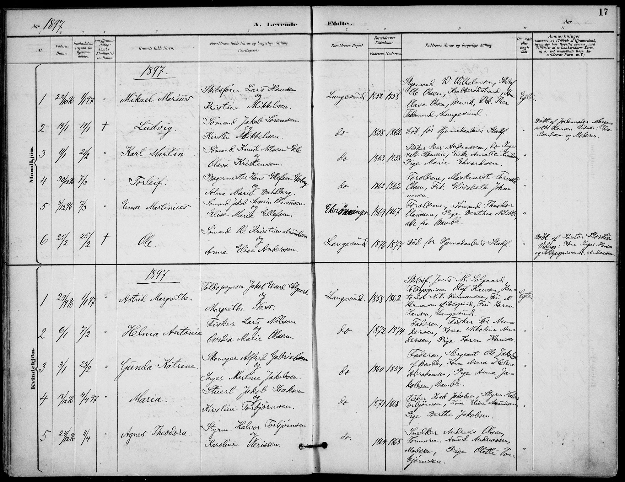 Langesund kirkebøker, SAKO/A-280/F/Fa/L0003: Parish register (official) no. 3, 1893-1907, p. 17
