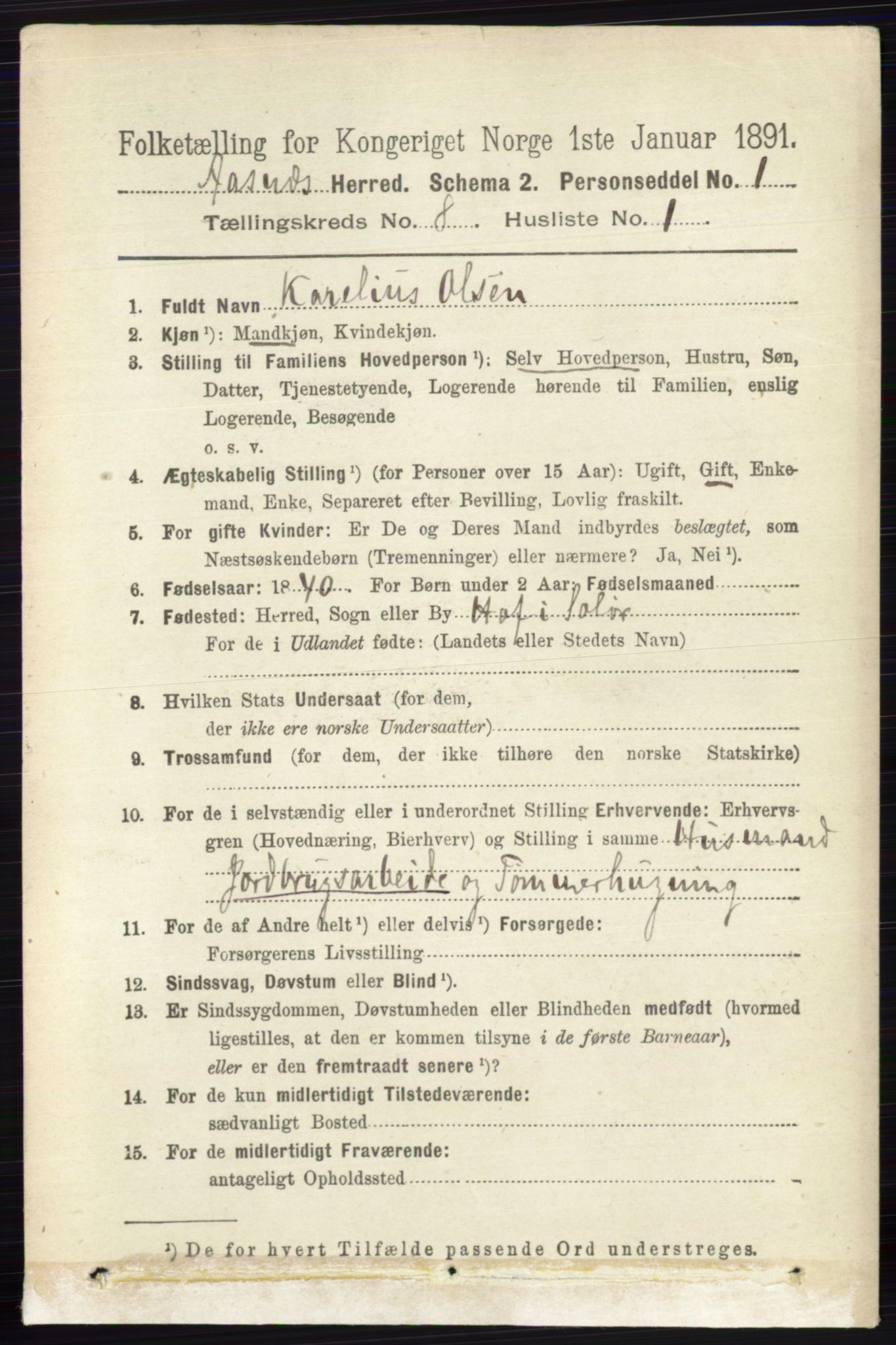 RA, 1891 census for 0425 Åsnes, 1891, p. 4181