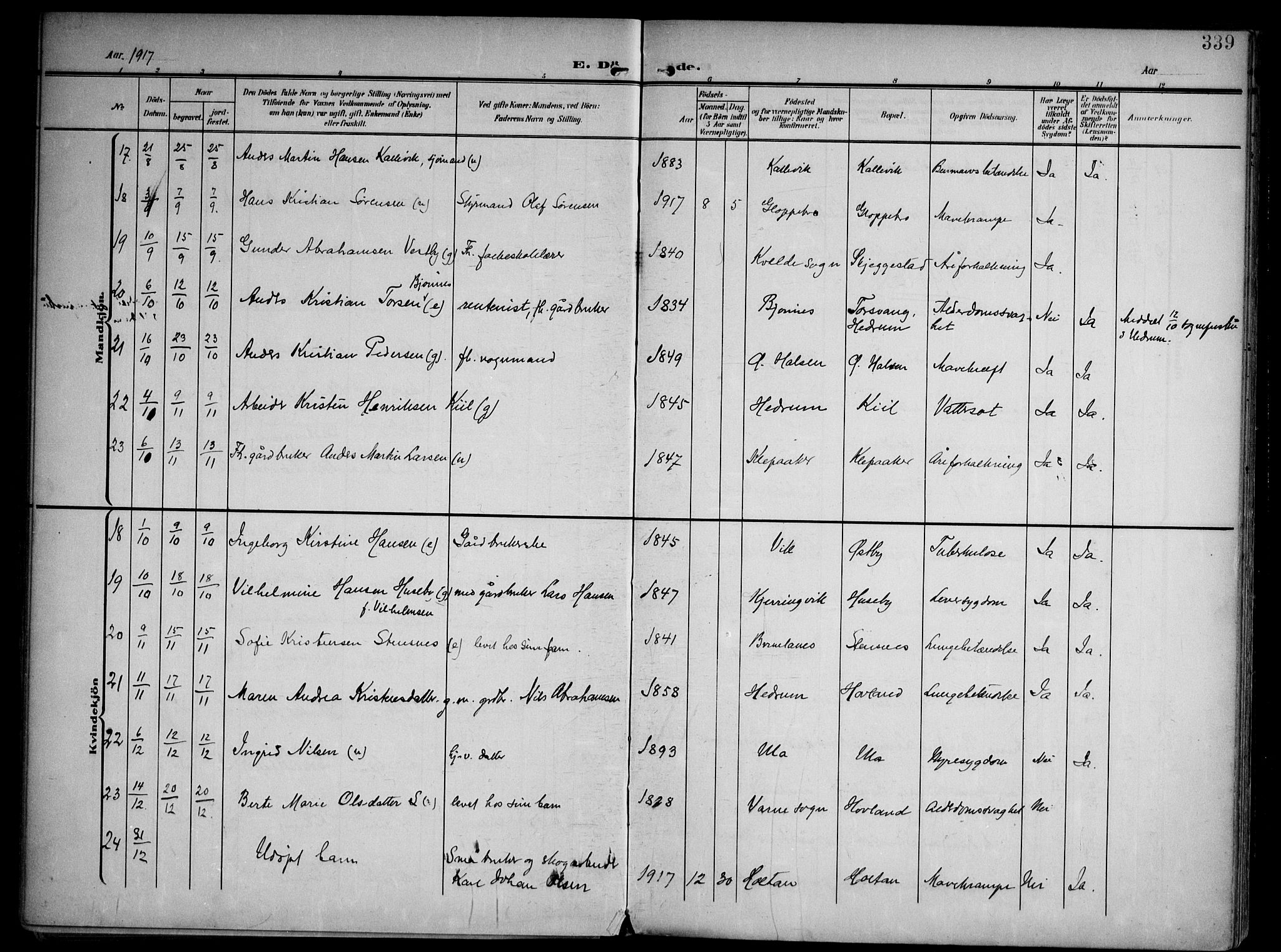 Tjølling kirkebøker, AV/SAKO-A-60/F/Fa/L0010: Parish register (official) no. 10, 1906-1923, p. 339