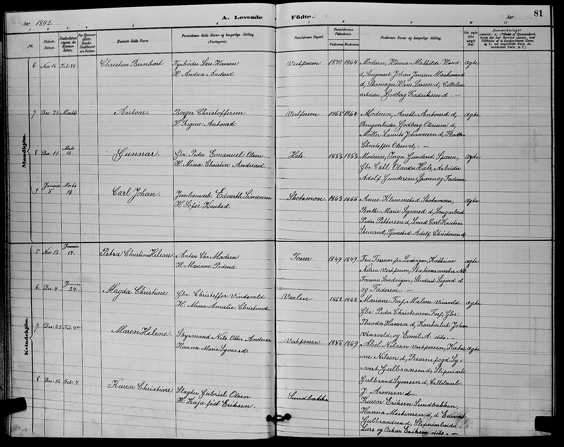 Eiker kirkebøker, AV/SAKO-A-4/G/Ga/L0006: Parish register (copy) no. I 6, 1885-1893, p. 81