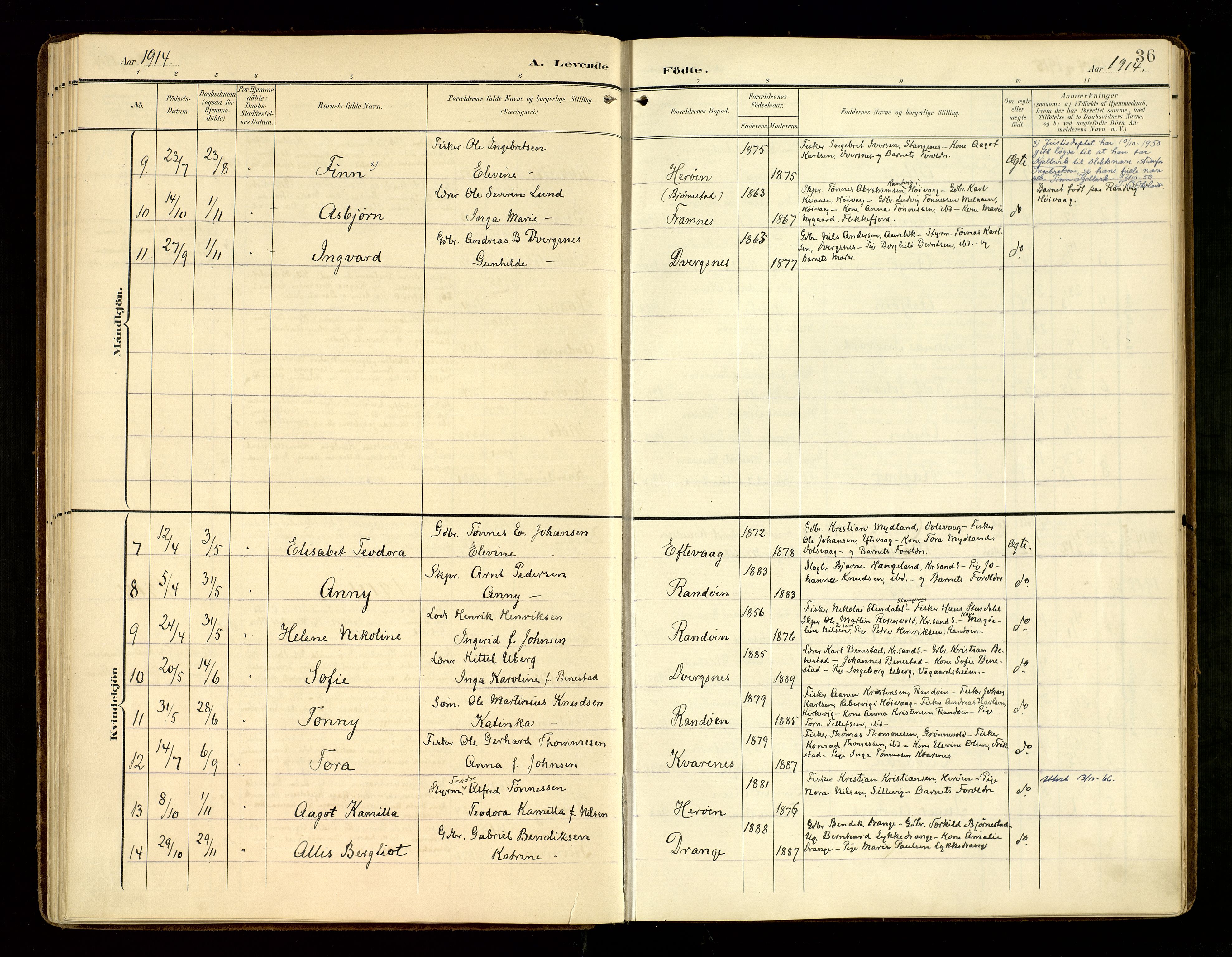 Oddernes sokneprestkontor, AV/SAK-1111-0033/F/Fa/Fab/L0003: Parish register (official) no. A 3, 1903-1916, p. 36