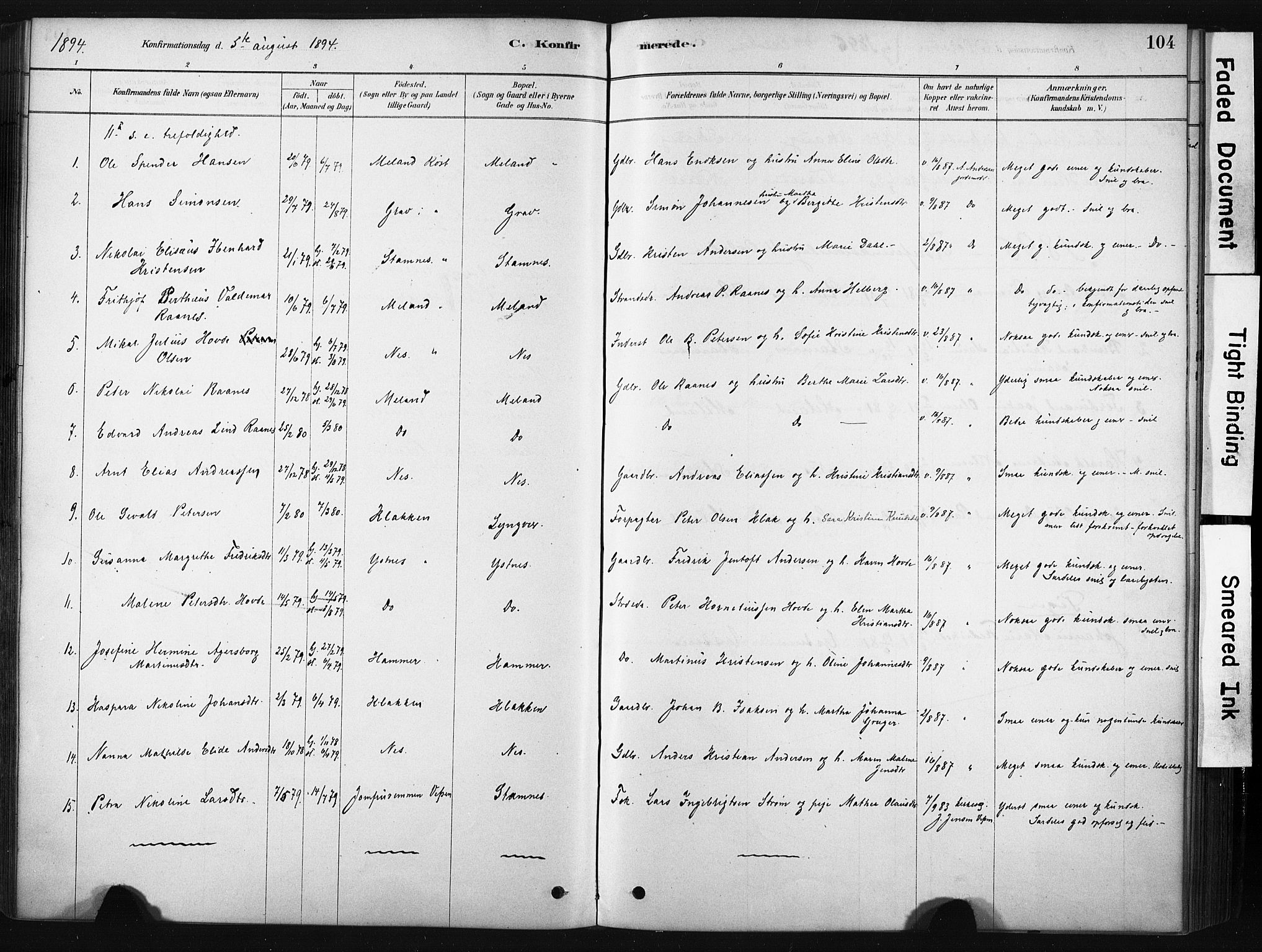 Ministerialprotokoller, klokkerbøker og fødselsregistre - Nordland, AV/SAT-A-1459/808/L0128: Parish register (official) no. 808A01, 1880-1902, p. 104