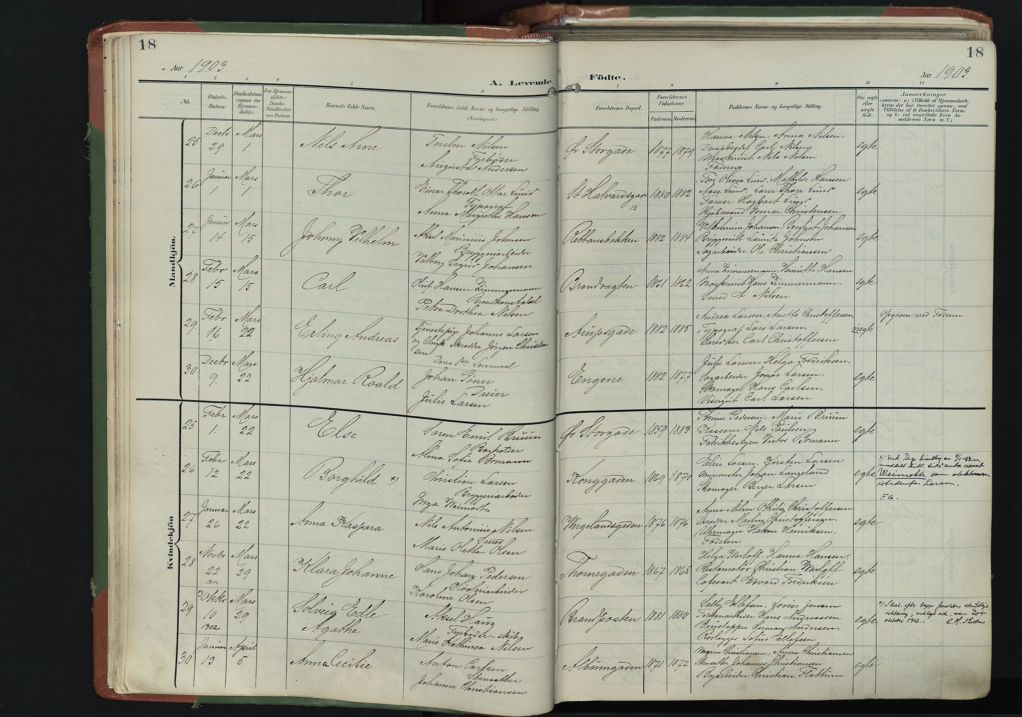 Bragernes kirkebøker, AV/SAKO-A-6/F/Fb/L0009: Parish register (official) no. II 9, 1902-1911, p. 18