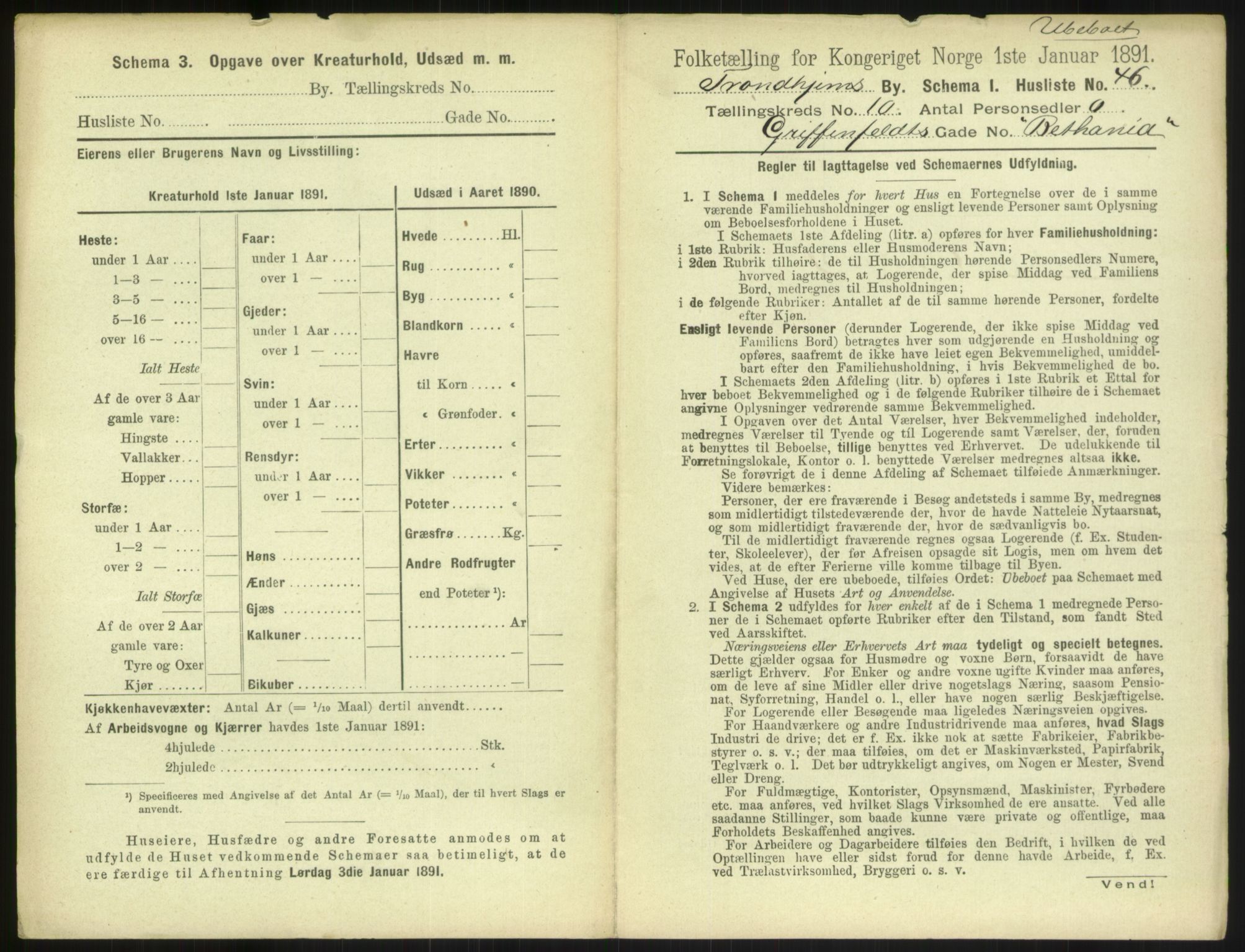 RA, 1891 census for 1601 Trondheim, 1891, p. 1244