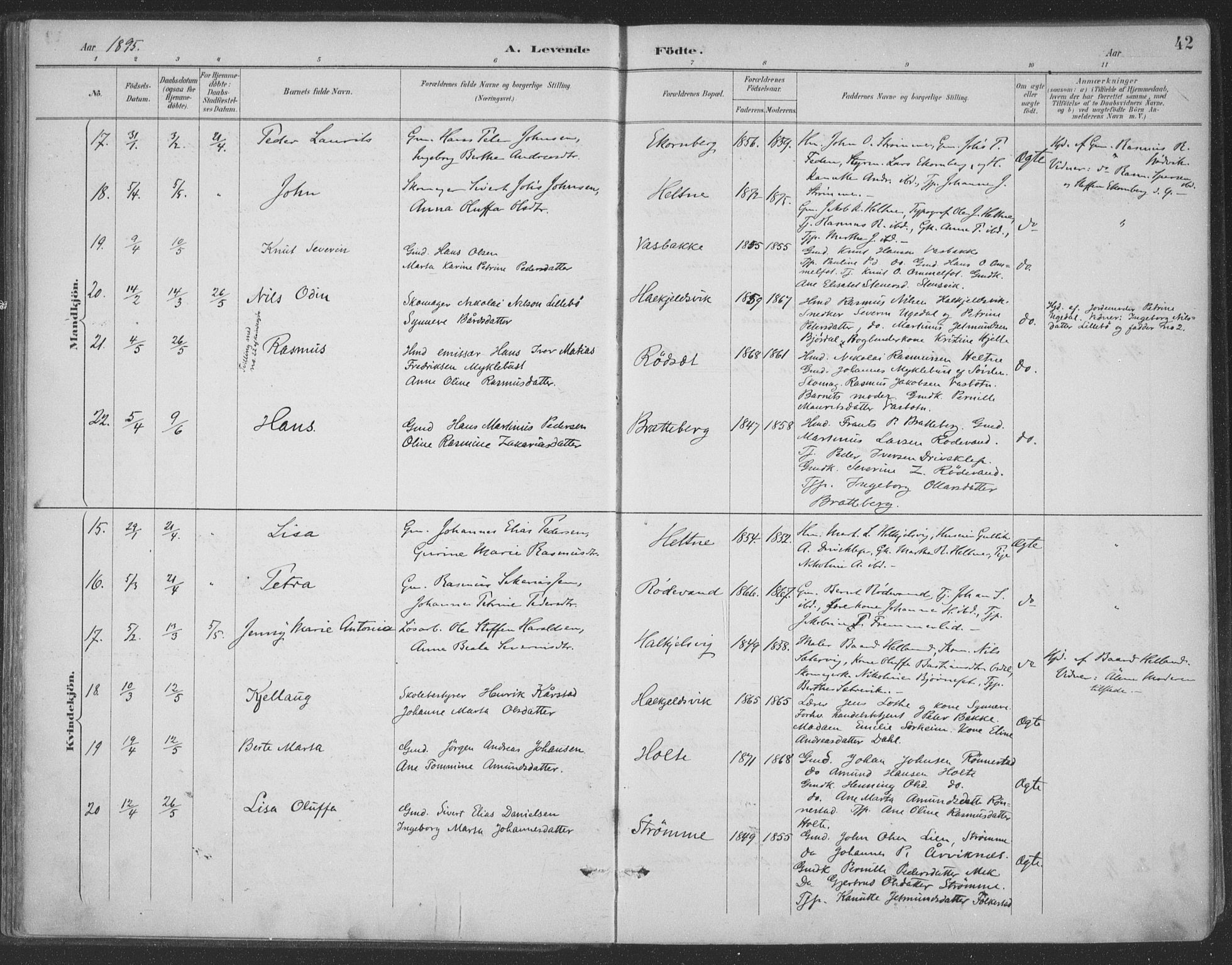 Ministerialprotokoller, klokkerbøker og fødselsregistre - Møre og Romsdal, AV/SAT-A-1454/511/L0142: Parish register (official) no. 511A09, 1891-1905, p. 42