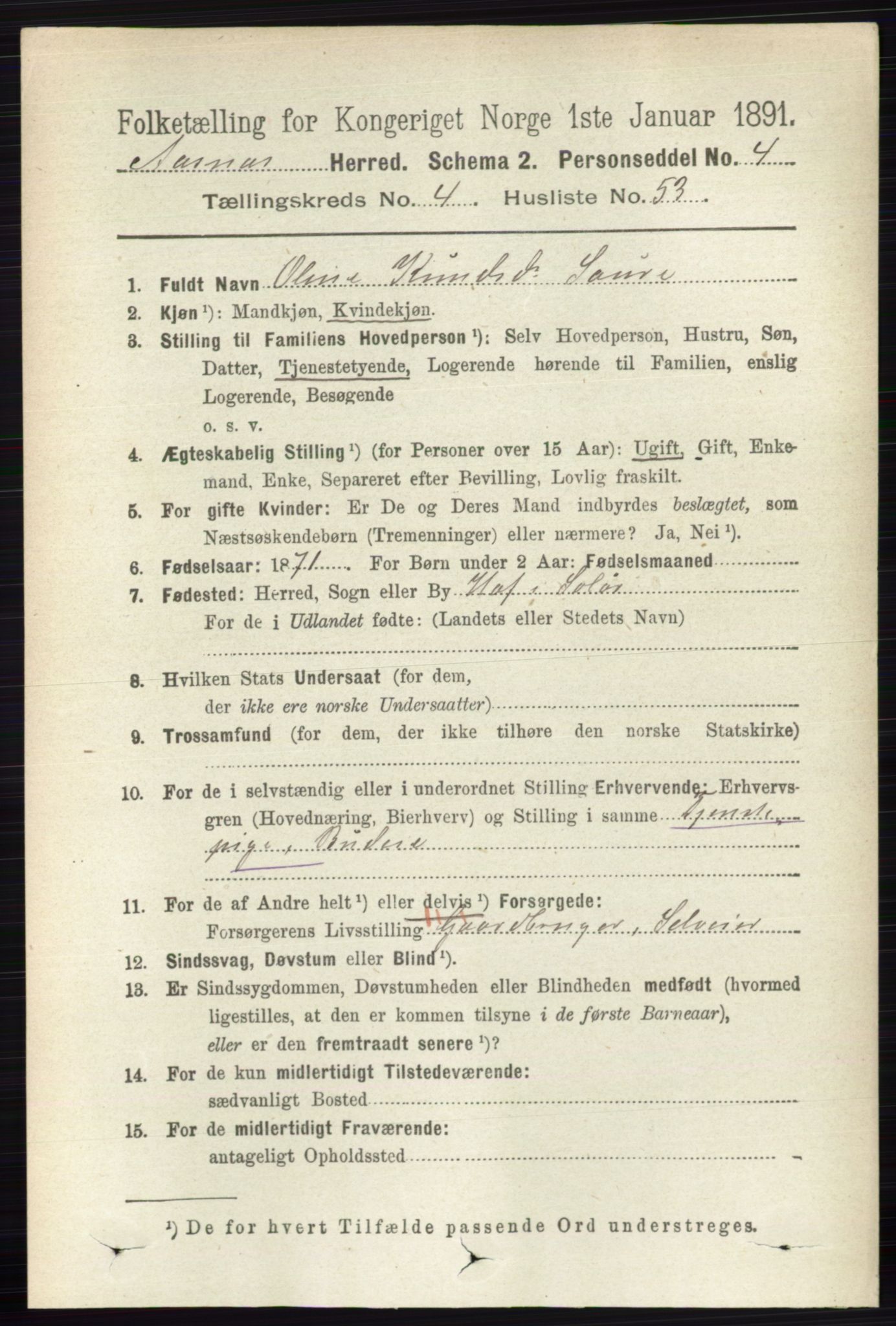 RA, 1891 census for 0425 Åsnes, 1891, p. 1953