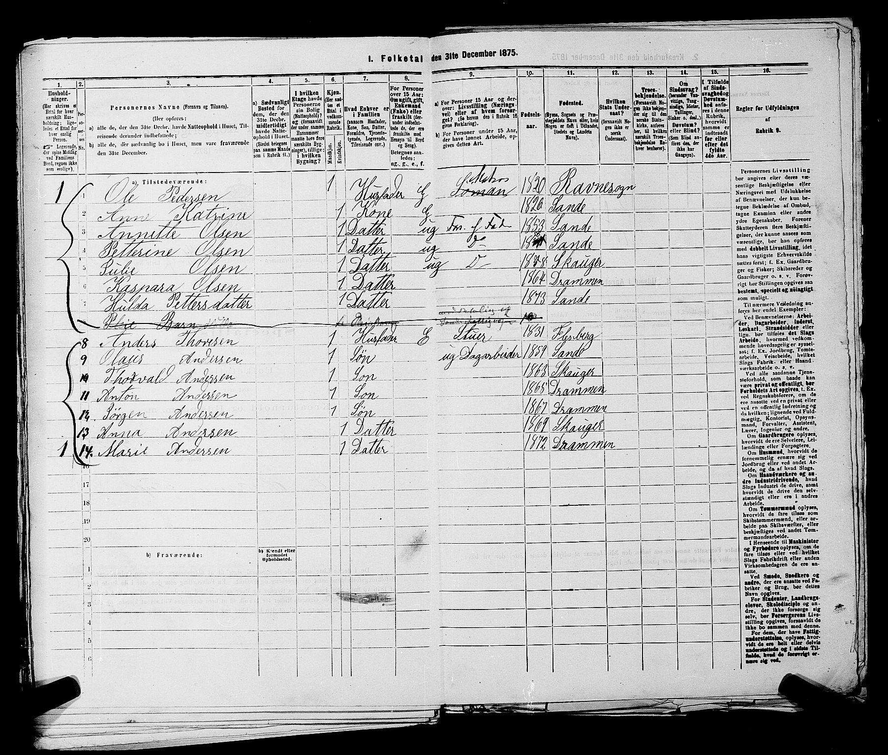 SAKO, 1875 census for 0602 Drammen, 1875, p. 3779