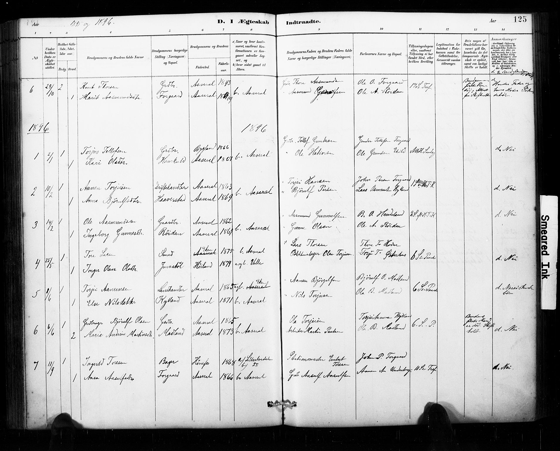 Åseral sokneprestkontor, AV/SAK-1111-0051/F/Fa/L0003: Parish register (official) no. A 3, 1884-1901, p. 125