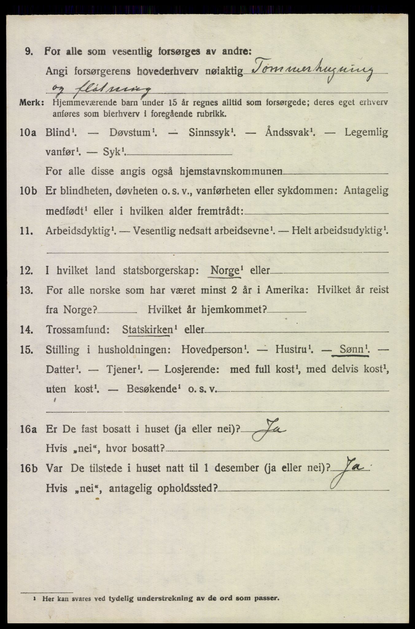 SAH, 1920 census for Trysil, 1920, p. 15514