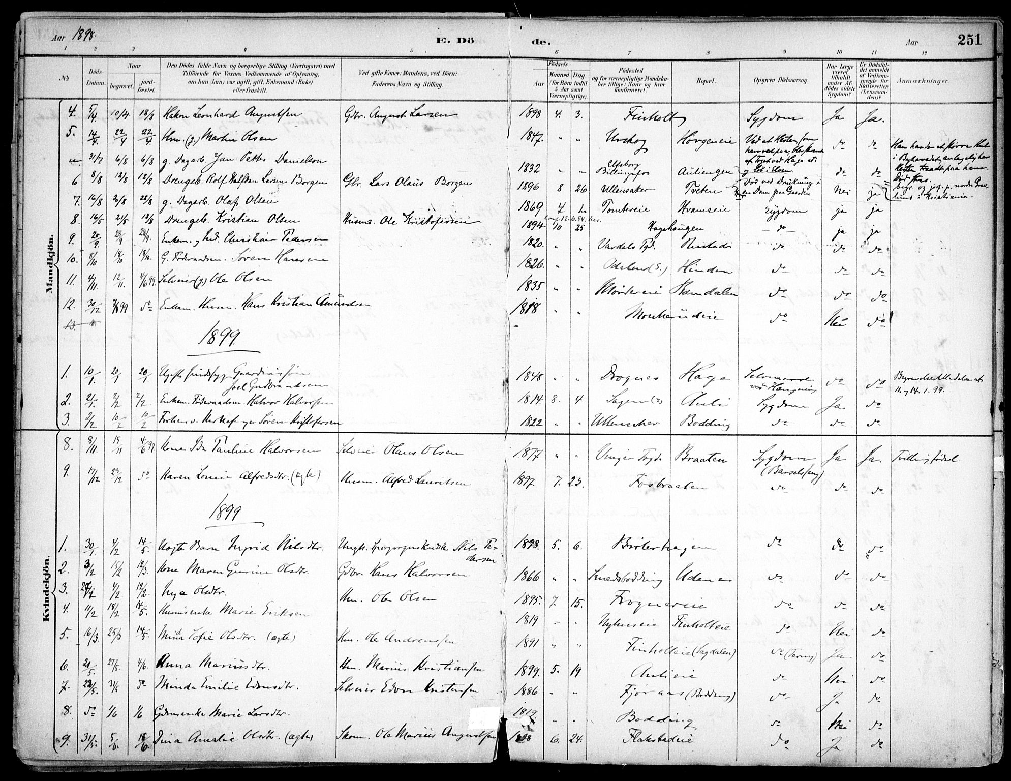 Nes prestekontor Kirkebøker, SAO/A-10410/F/Fc/L0002: Parish register (official) no. IIi 2, 1882-1916, p. 251