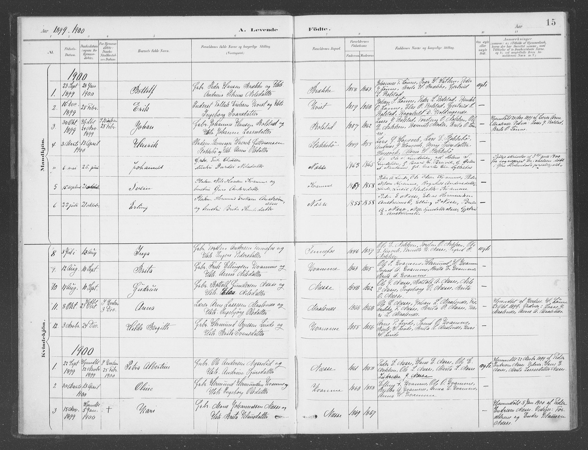 Vik sokneprestembete, AV/SAB-A-81501/H/Haa/Haad/L0002: Parish register (official) no. D  2, 1891-1907, p. 15