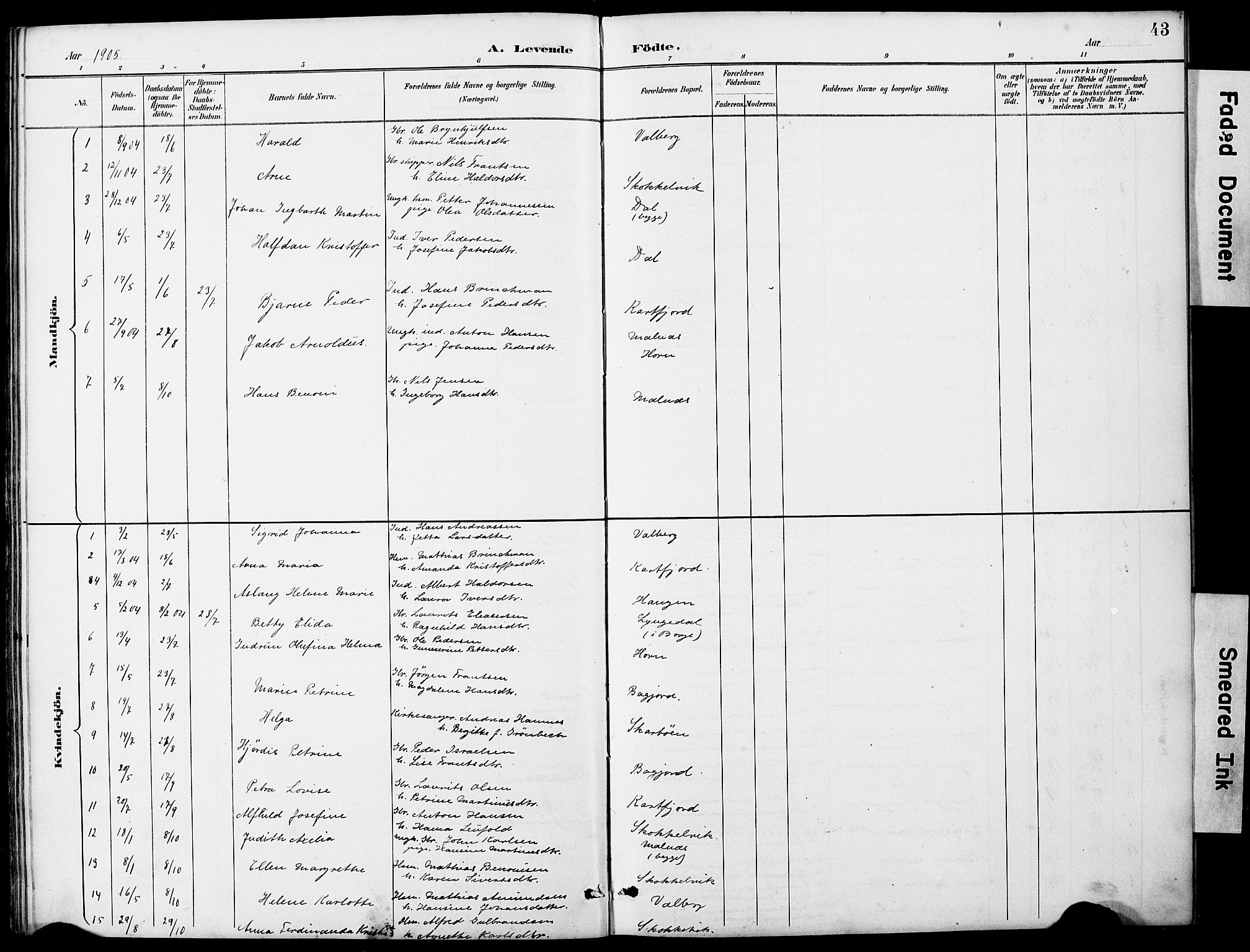 Ministerialprotokoller, klokkerbøker og fødselsregistre - Nordland, AV/SAT-A-1459/884/L1197: Parish register (copy) no. 884C03, 1888-1926, p. 43