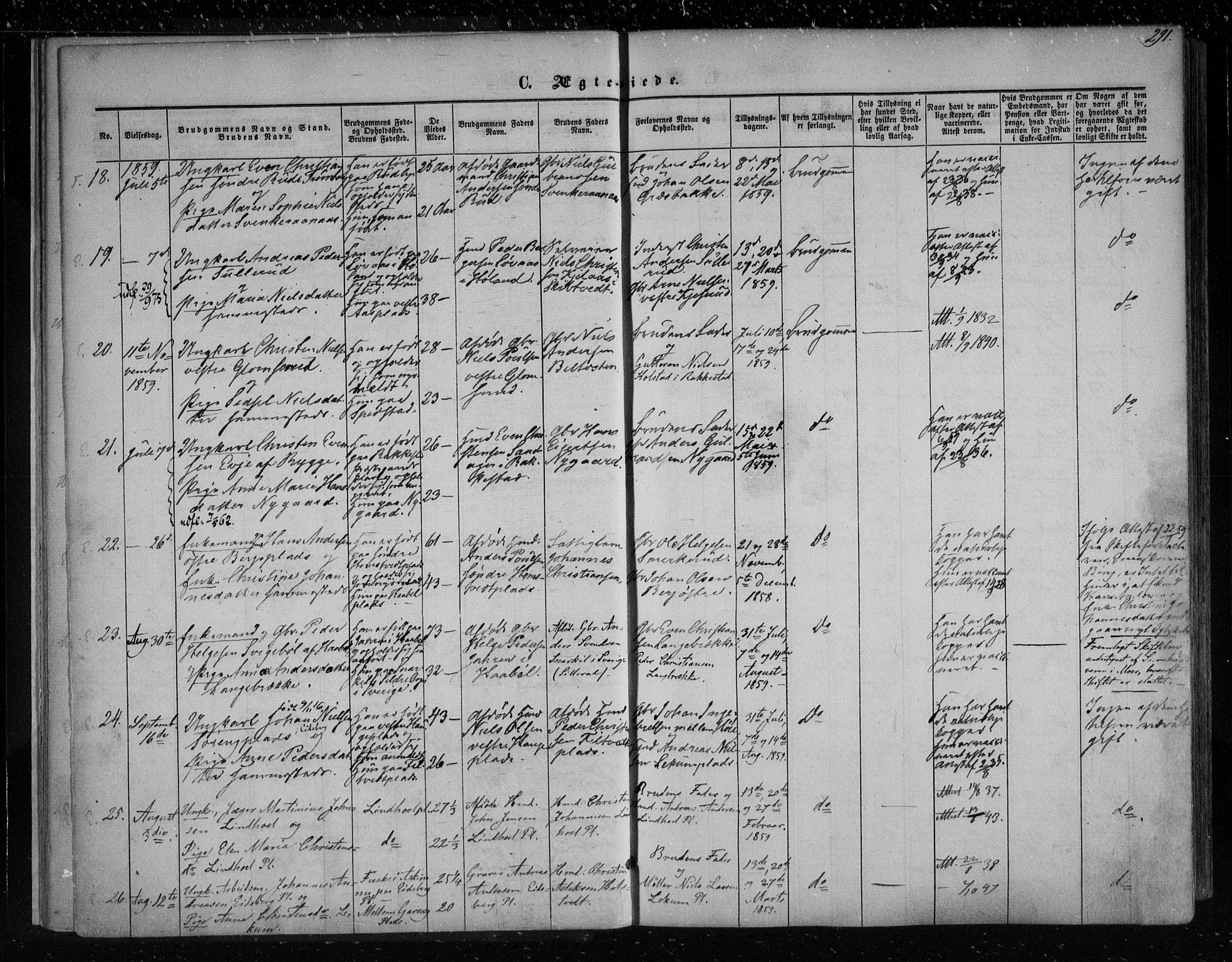 Eidsberg prestekontor Kirkebøker, SAO/A-10905/F/Fa/L0010.b: Parish register (official) no. I 10B, 1857-1866, p. 291